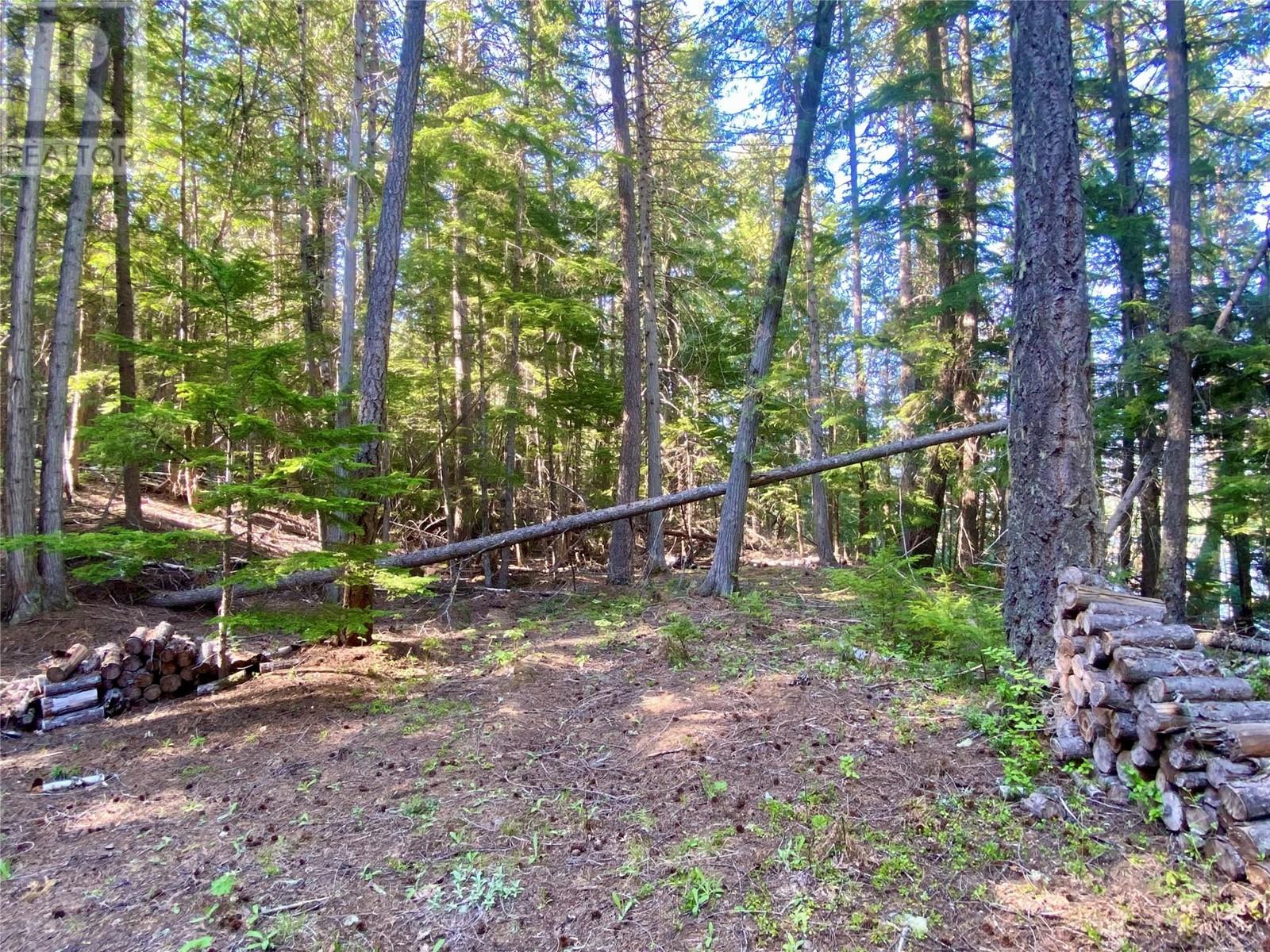 Lot A Slocan West Road, Slocan, British Columbia  V0G 2C0 - Photo 10 - 10347229