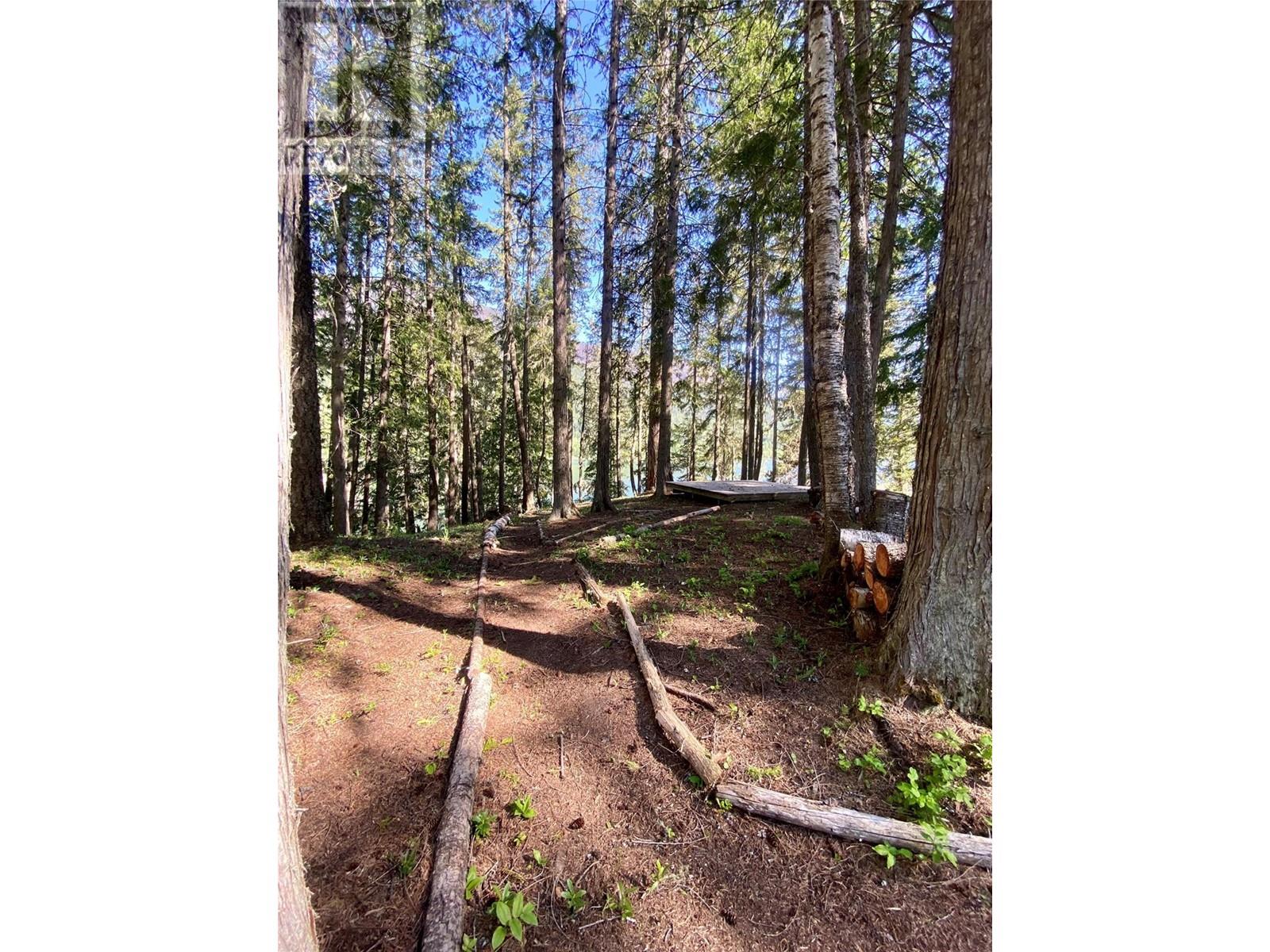 Lot A Slocan West Road, Slocan, British Columbia  V0G 2C0 - Photo 12 - 10347229