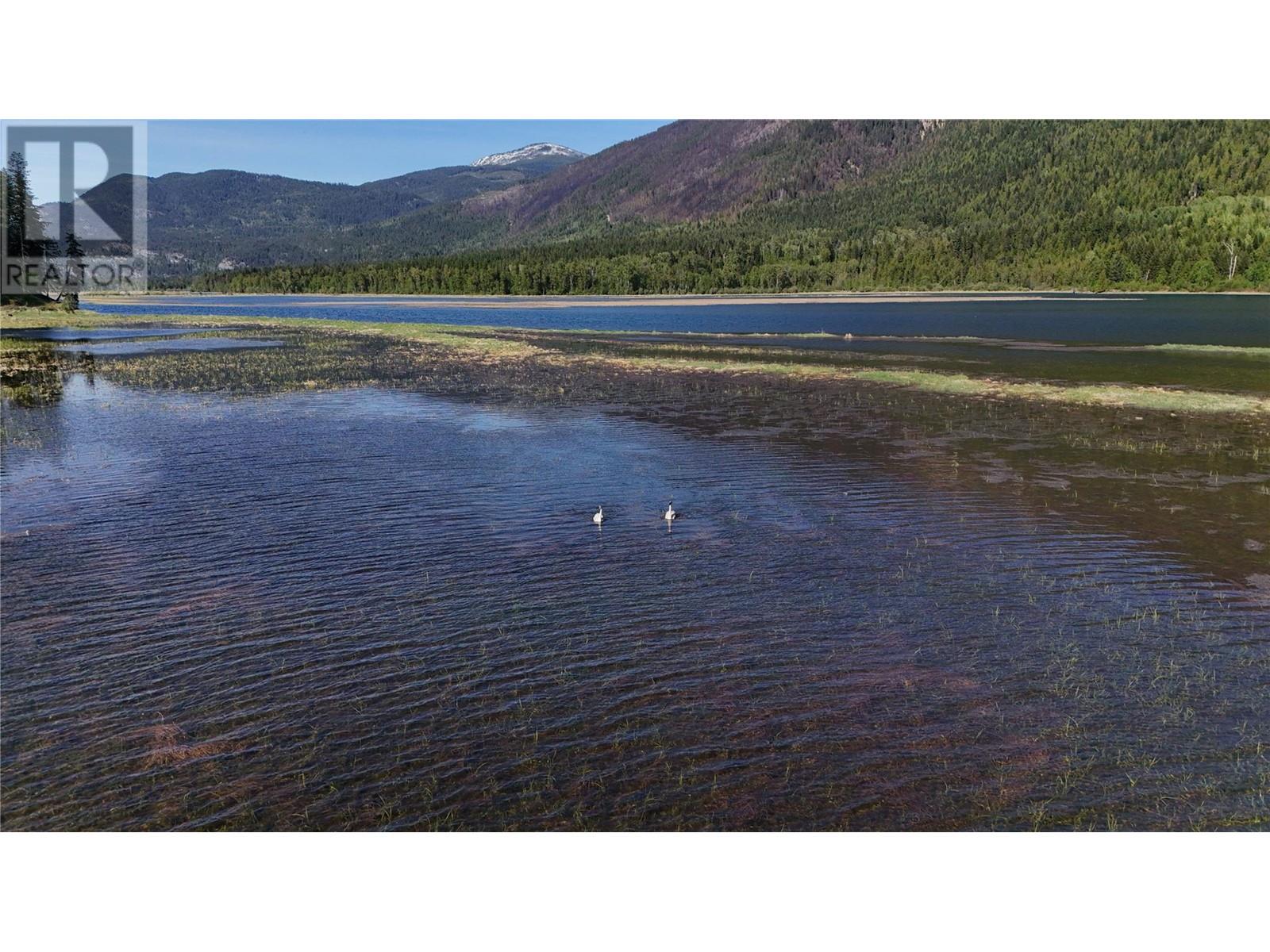 Lot A Slocan West Road, Slocan, British Columbia  V0G 2C0 - Photo 18 - 10347229