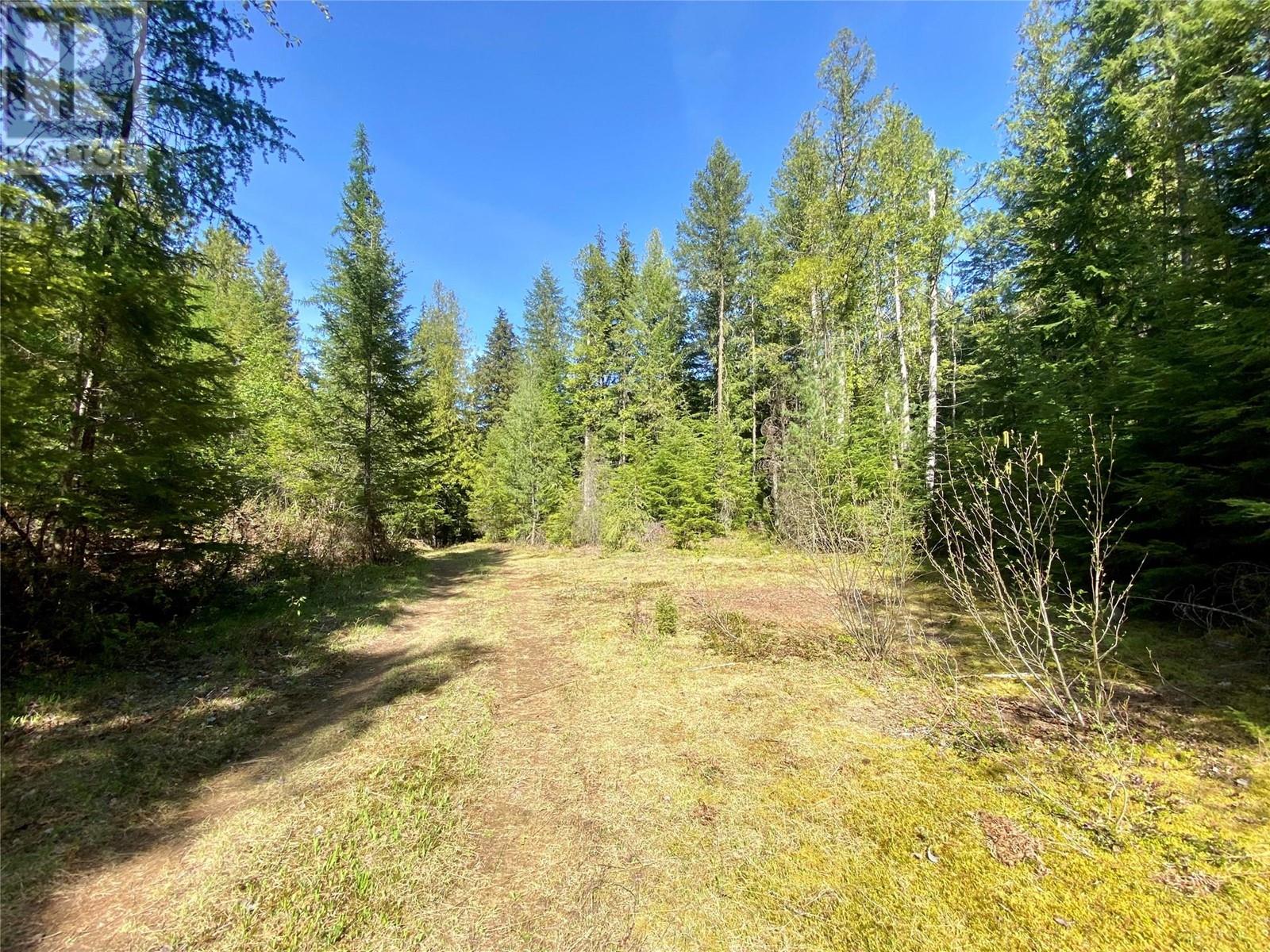 Lot A Slocan West Road, Slocan, British Columbia  V0G 2C0 - Photo 9 - 10347229