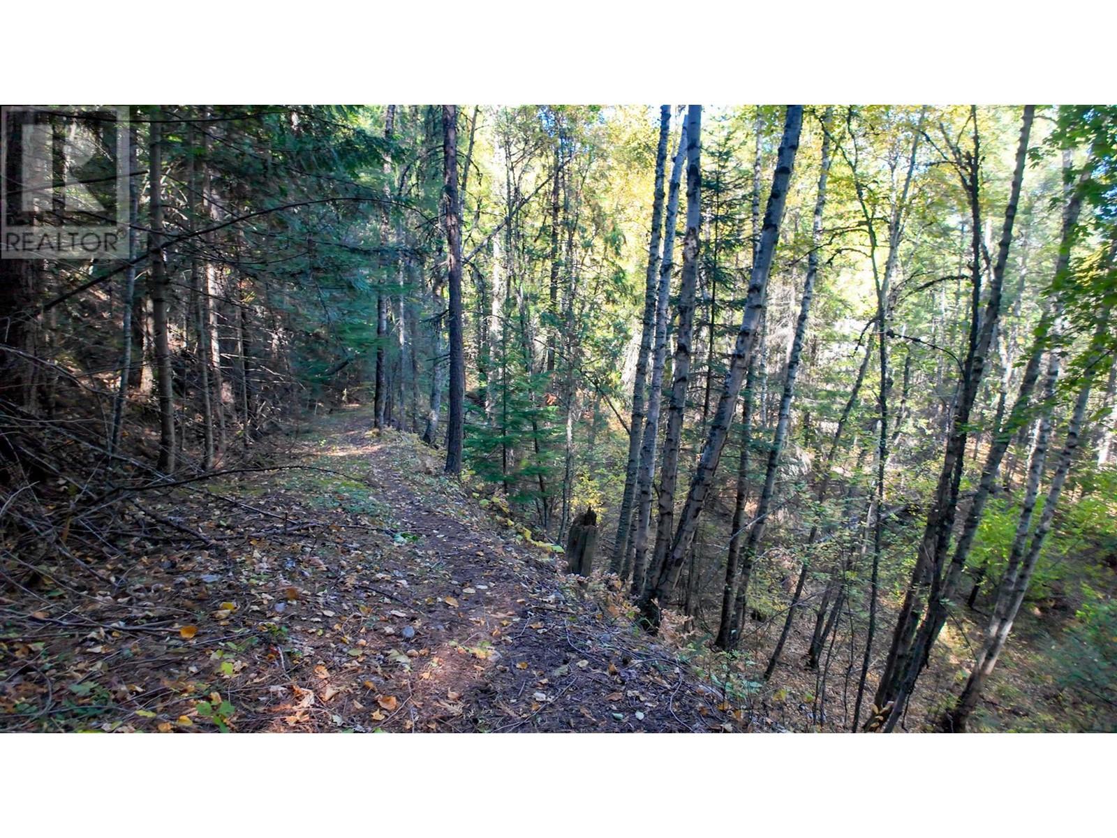 3751 Westwind Road, Krestova, British Columbia  V0G 1H2 - Photo 19 - 10346710