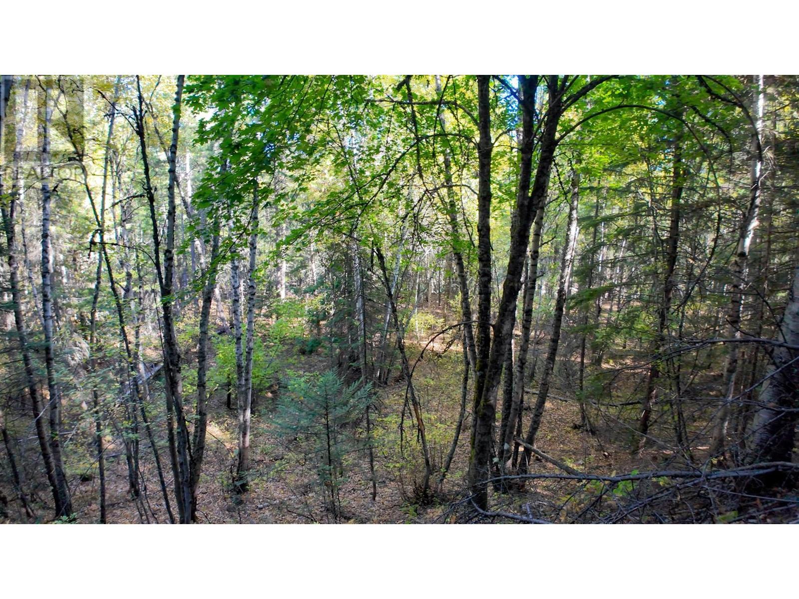 3751 Westwind Road, Krestova, British Columbia  V0G 1H2 - Photo 21 - 10346710
