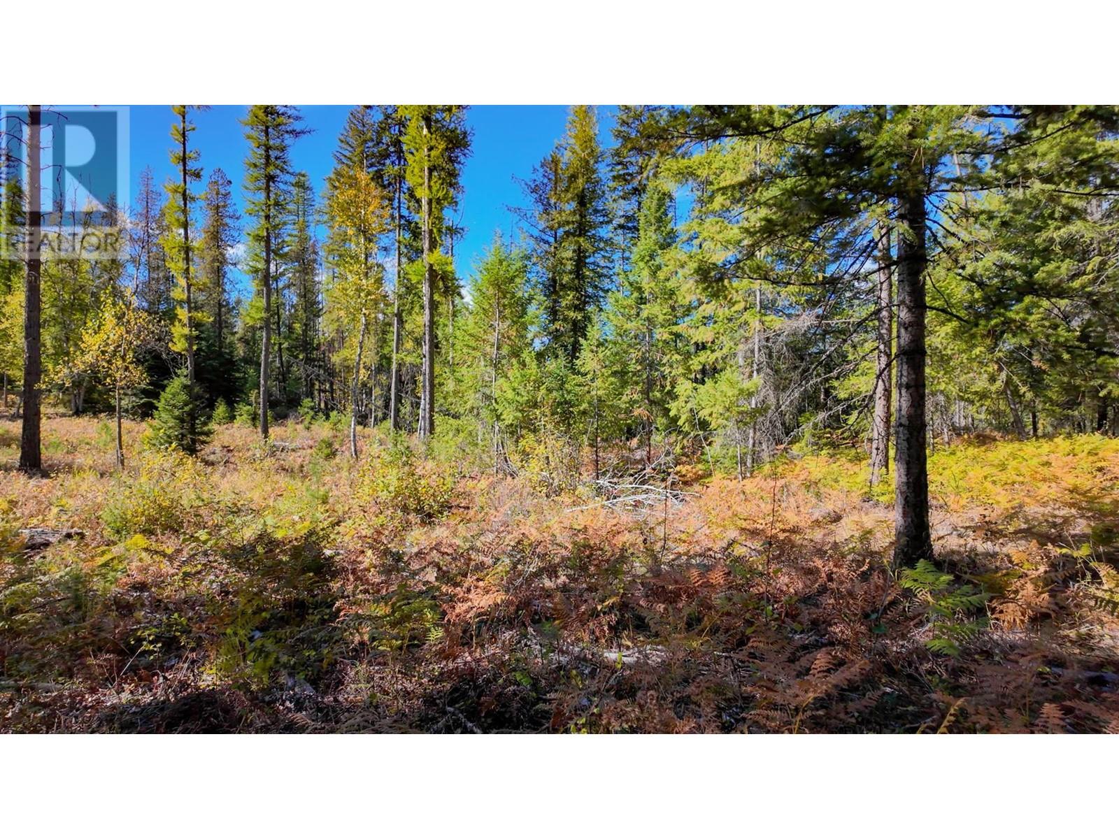 3751 Westwind Road, Krestova, British Columbia  V0G 1H2 - Photo 22 - 10346710