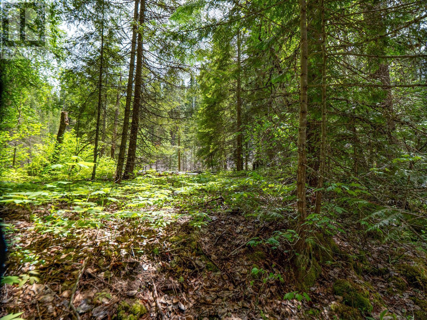 3751 Westwind Road, Krestova, British Columbia  V0G 1H2 - Photo 48 - 10346710