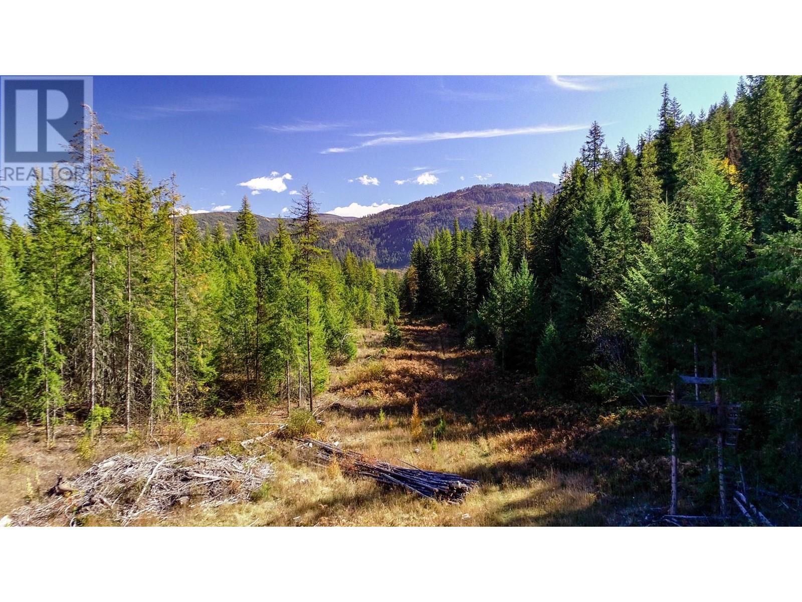 3751 Westwind Road, Krestova, British Columbia  V0G 1H2 - Photo 8 - 10346710