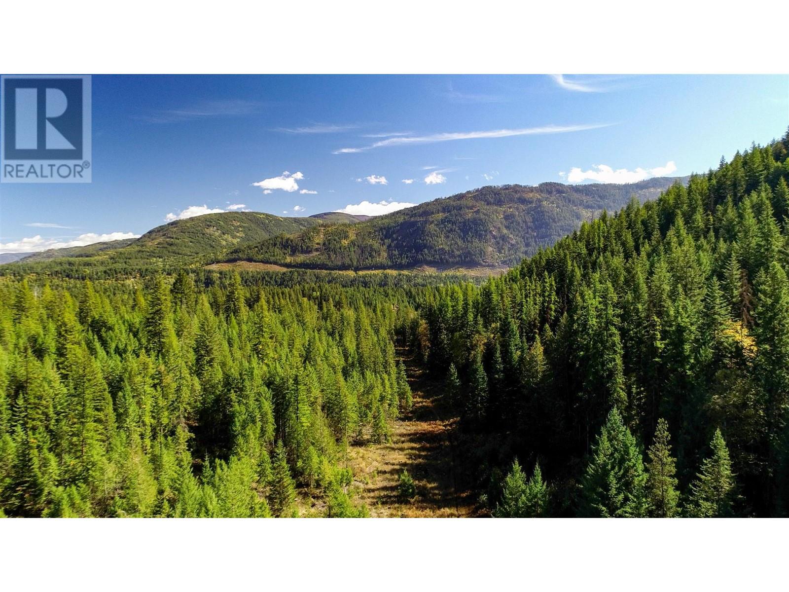 3751 Westwind Road, Krestova, British Columbia  V0G 1H2 - Photo 9 - 10346710