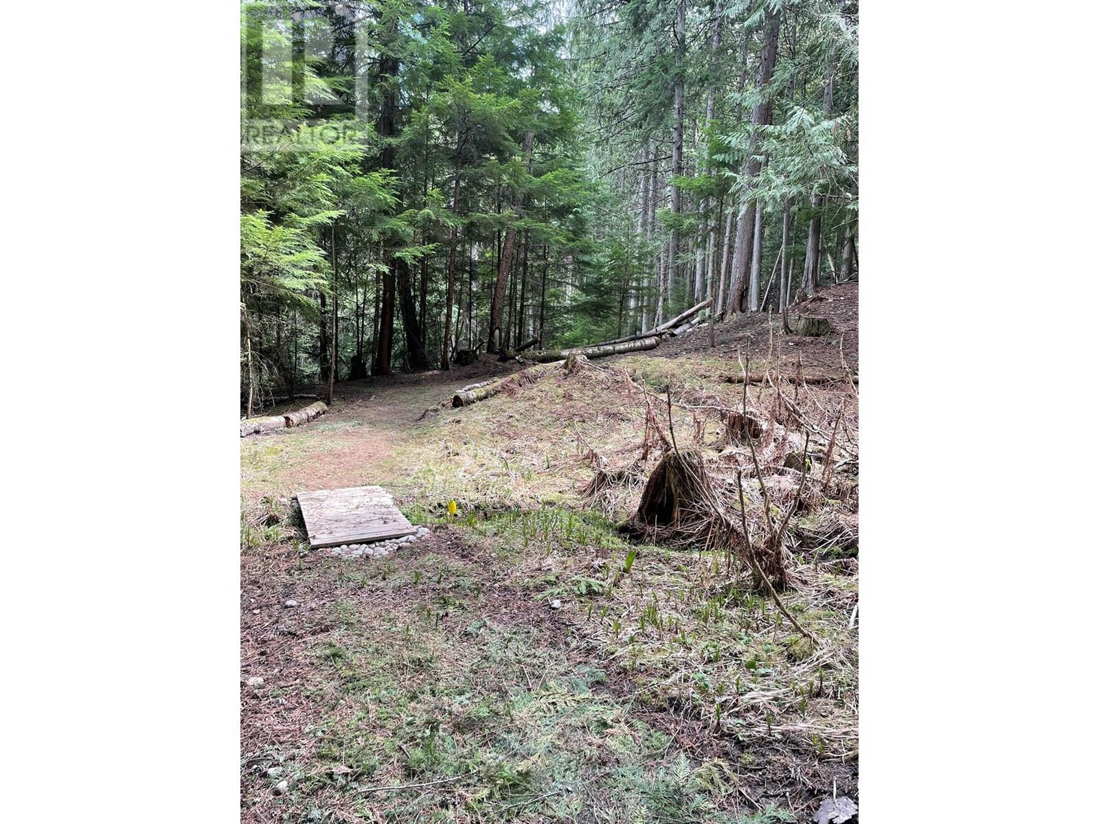 4144 Passmore Upper Road, Winlaw, British Columbia  V0G 1M0 - Photo 1 - 10346919