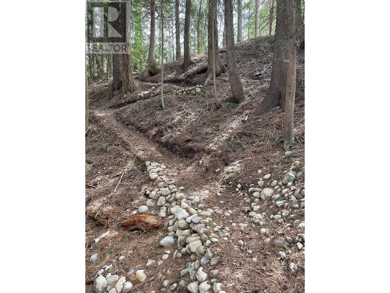 4144 Passmore Upper Road, Winlaw, British Columbia  V0G 1M0 - Photo 14 - 10346919