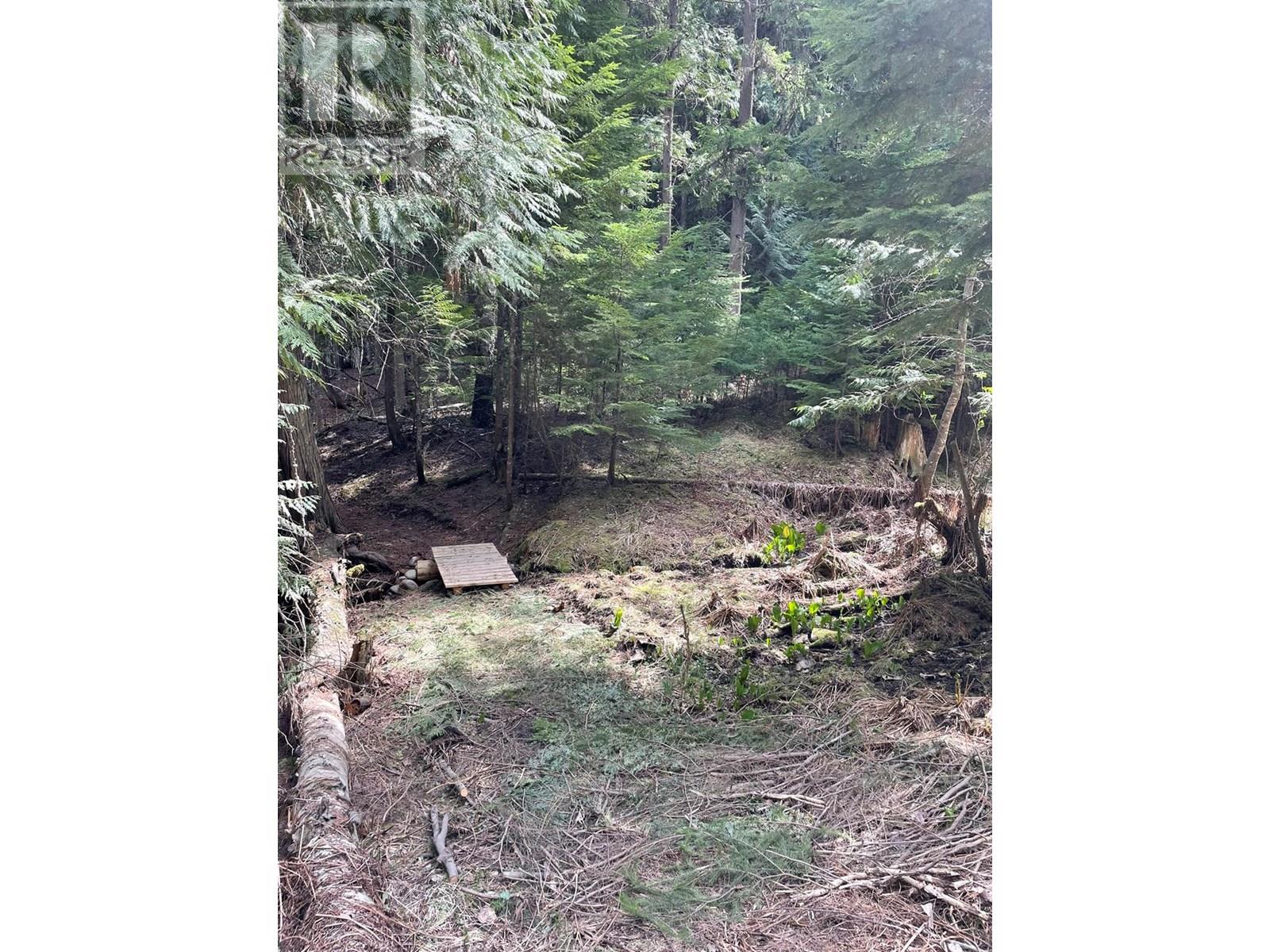 4144 Passmore Upper Road, Winlaw, British Columbia  V0G 1M0 - Photo 2 - 10346919