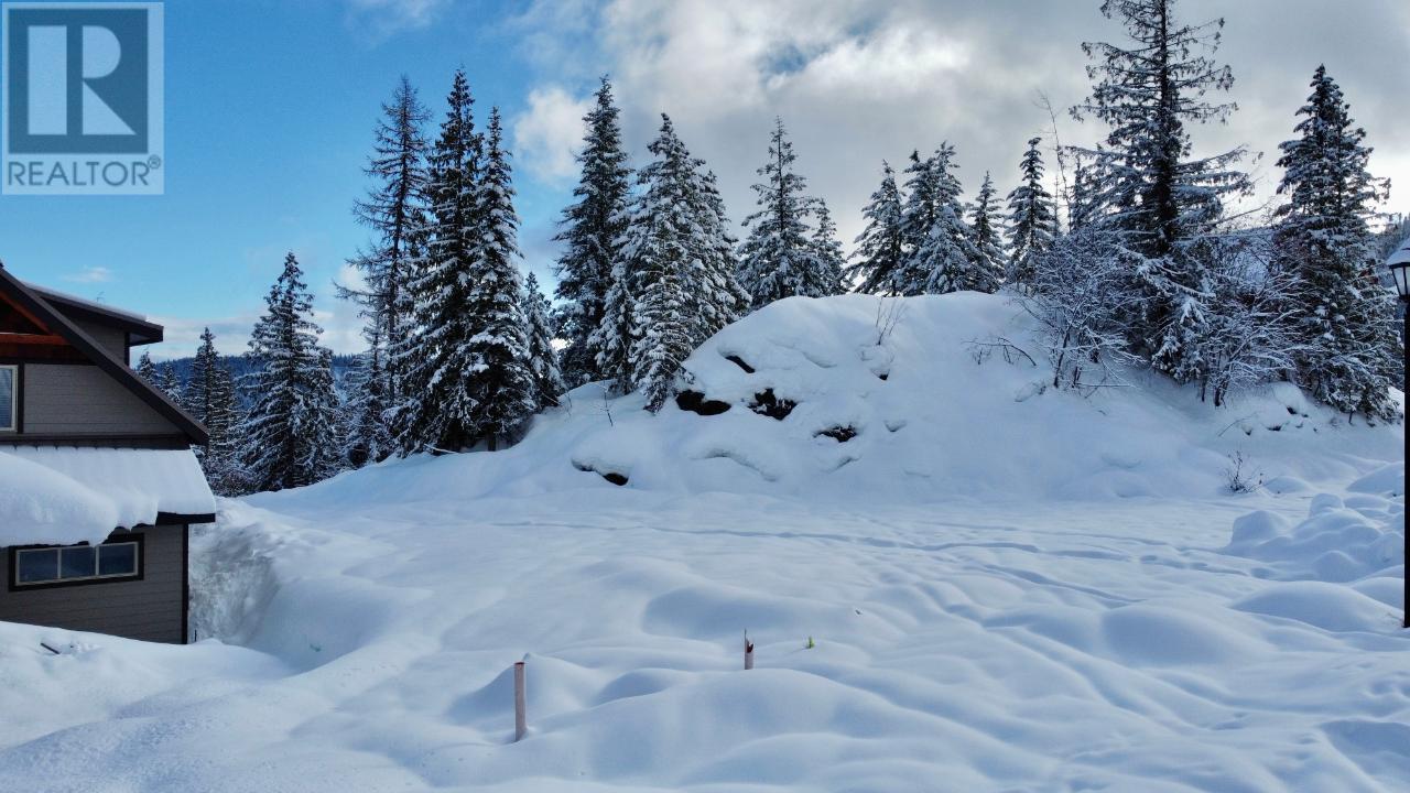 1018 Olaus Way, Rossland, British Columbia  V0G 1Y0 - Photo 10 - 10347558