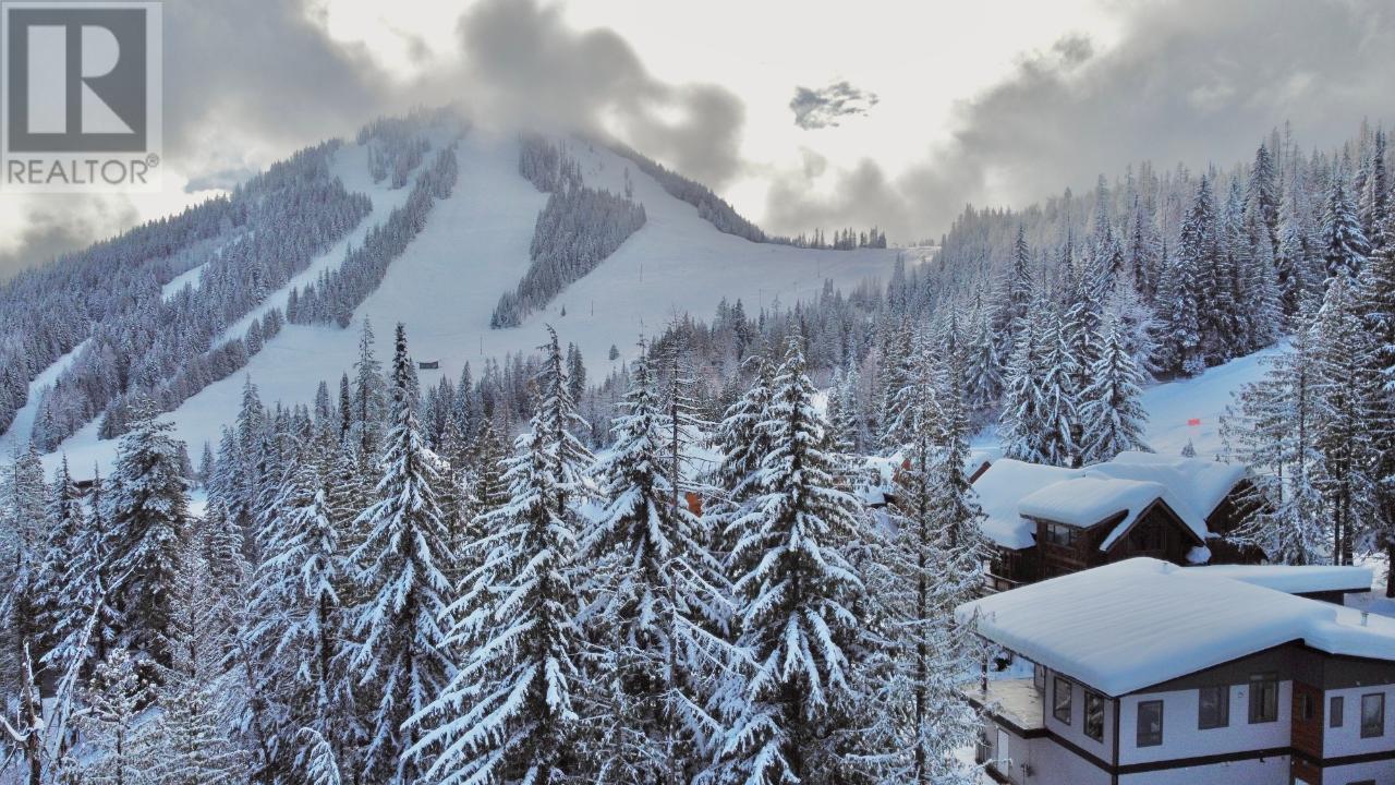 1018 Olaus Way, Rossland, British Columbia  V0G 1Y0 - Photo 12 - 10347558