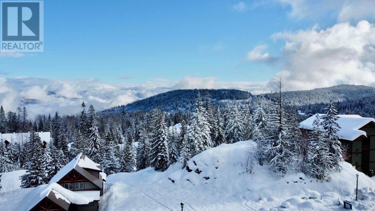 1018 Olaus Way, Rossland, British Columbia  V0G 1Y0 - Photo 13 - 10347558