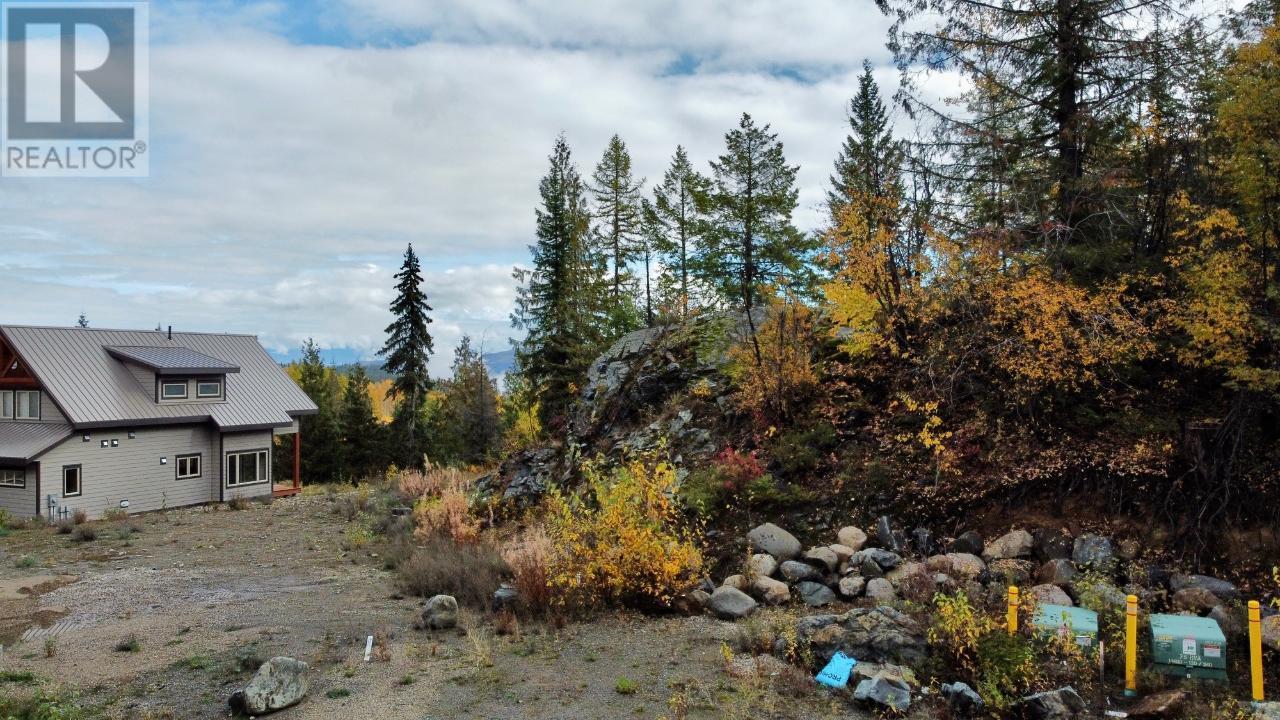 1018 Olaus Way, Rossland, British Columbia  V0G 1Y0 - Photo 18 - 10347558