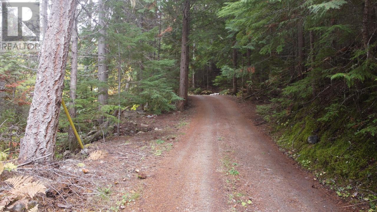 4820 6 Highway, Winlaw, British Columbia  V0G 2J0 - Photo 16 - 10347956