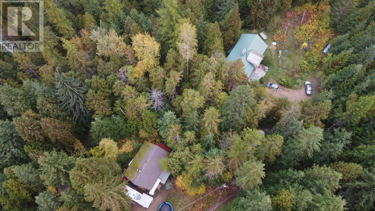 4820 6 Highway, Winlaw, British Columbia  V0G 2J0 - Photo 4 - 10347956