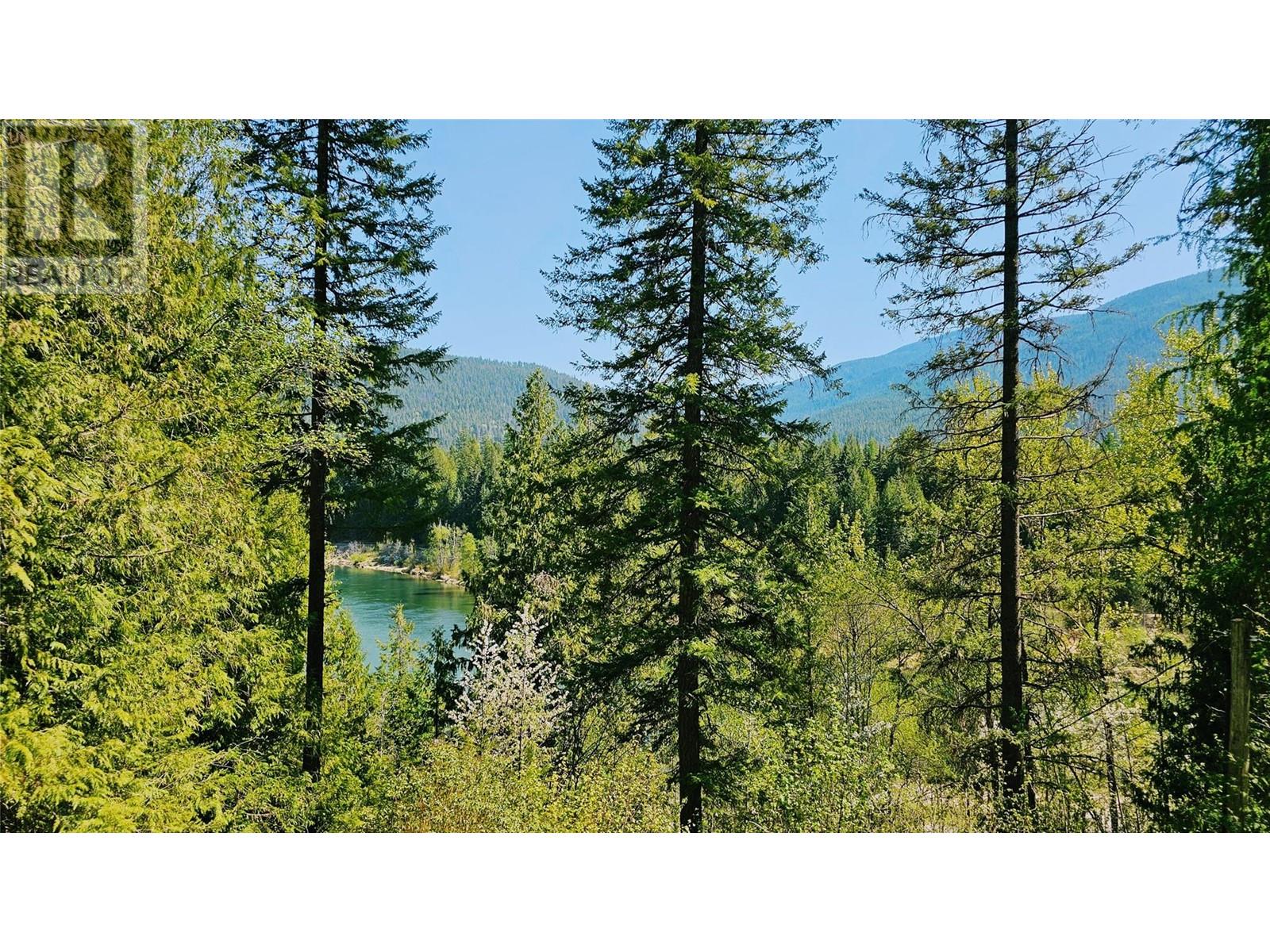 5949 Slocan River Road, Appledale, British Columbia  V0G 2J0 - Photo 23 - 10348180