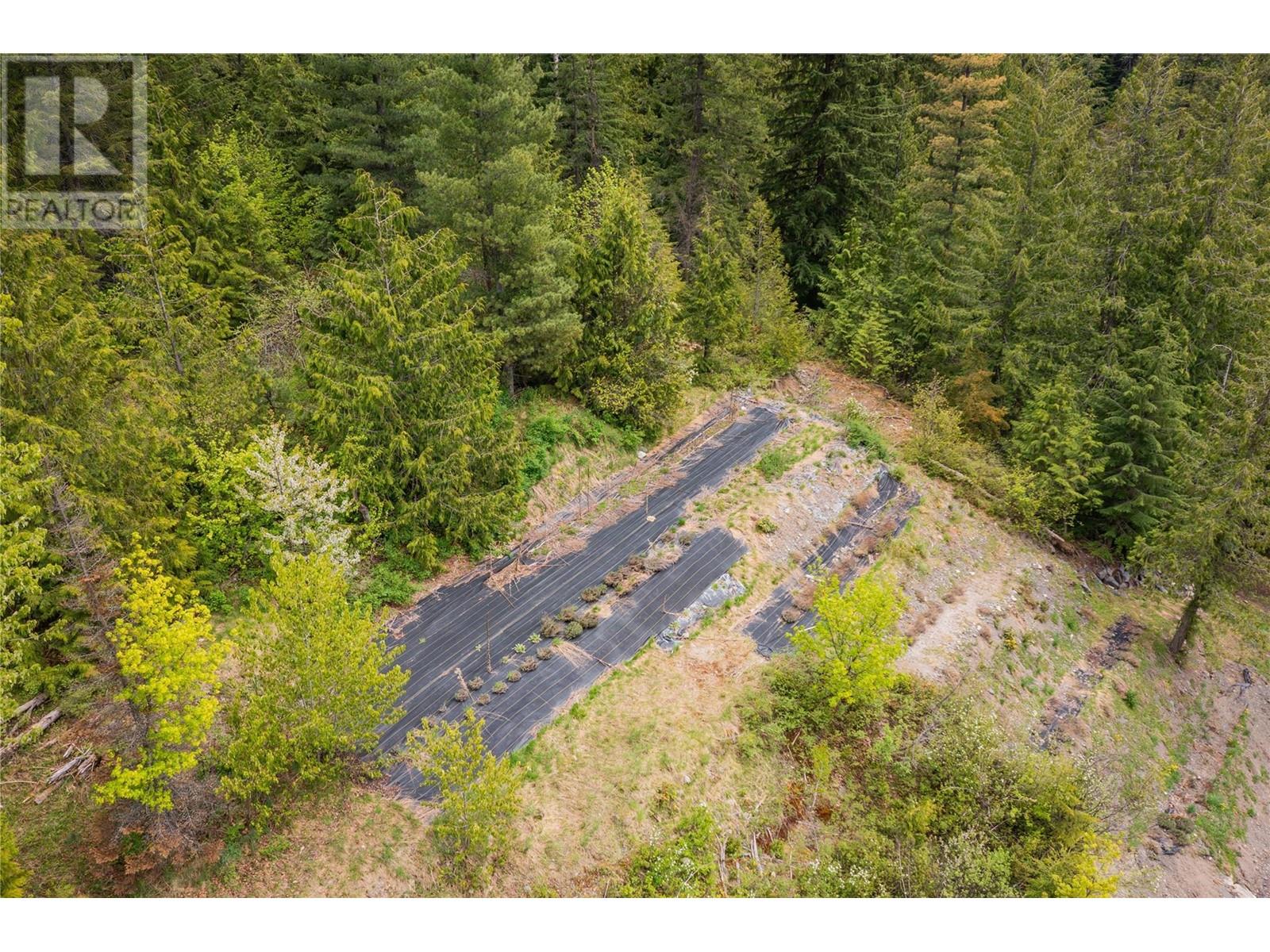 122 Silver Street, Sandon, British Columbia  V0G 1S0 - Photo 89 - 10347402
