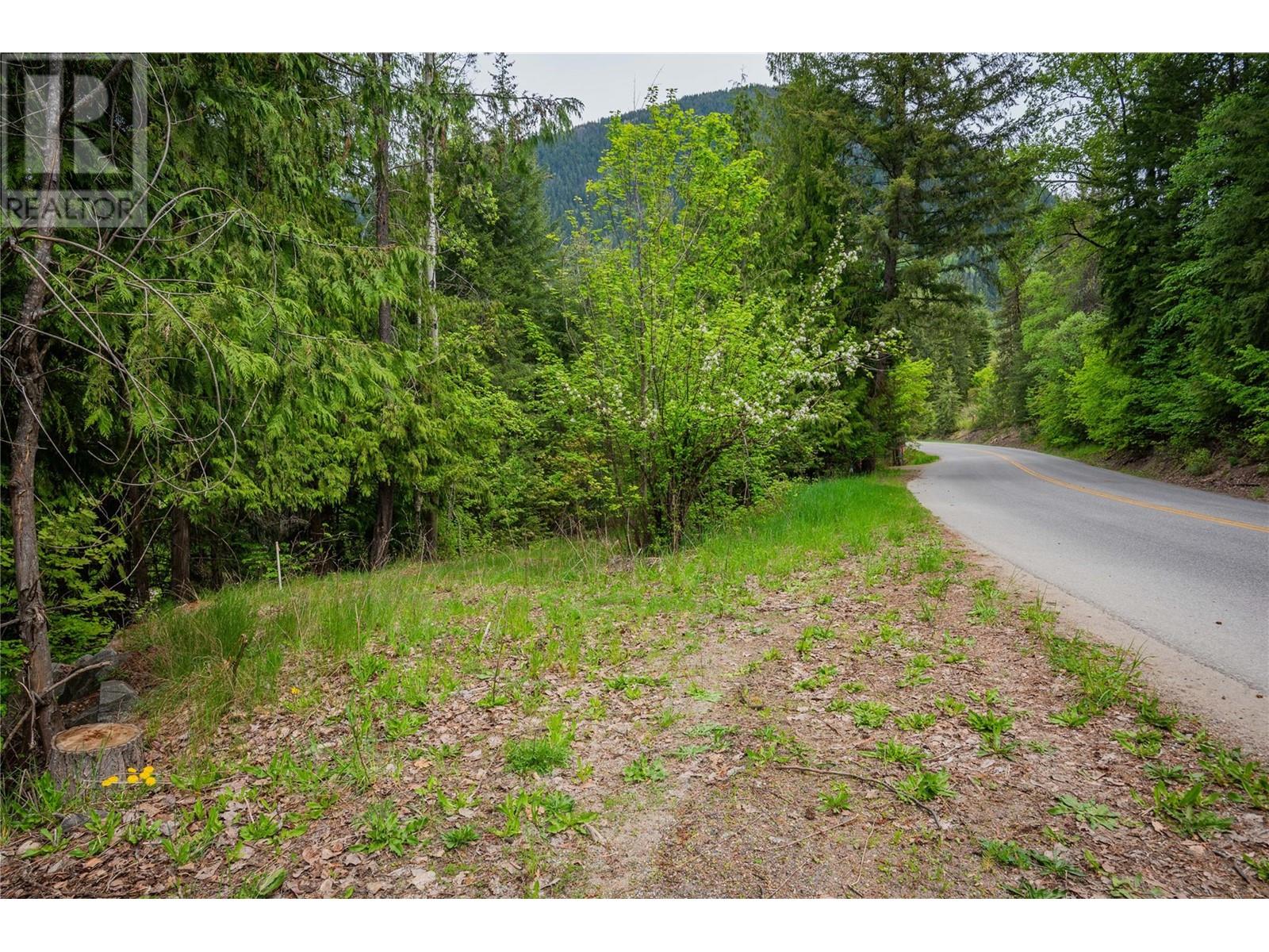 1102 31a Highway, New Denver, British Columbia  V0G 1S0 - Photo 15 - 10347416
