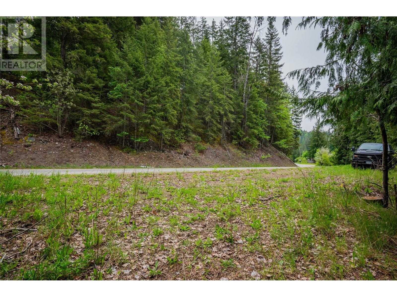1102 31a Highway, New Denver, British Columbia  V0G 1S0 - Photo 16 - 10347416