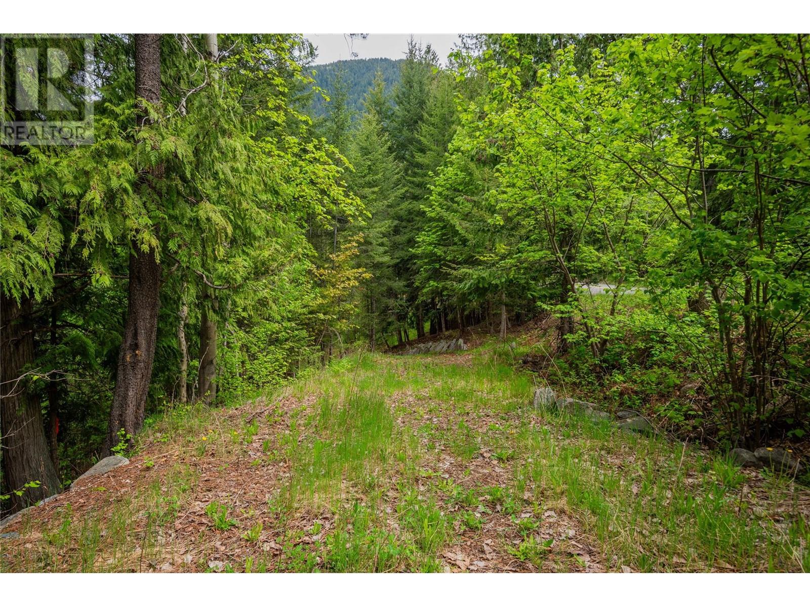 1102 31a Highway, New Denver, British Columbia  V0G 1S0 - Photo 17 - 10347416