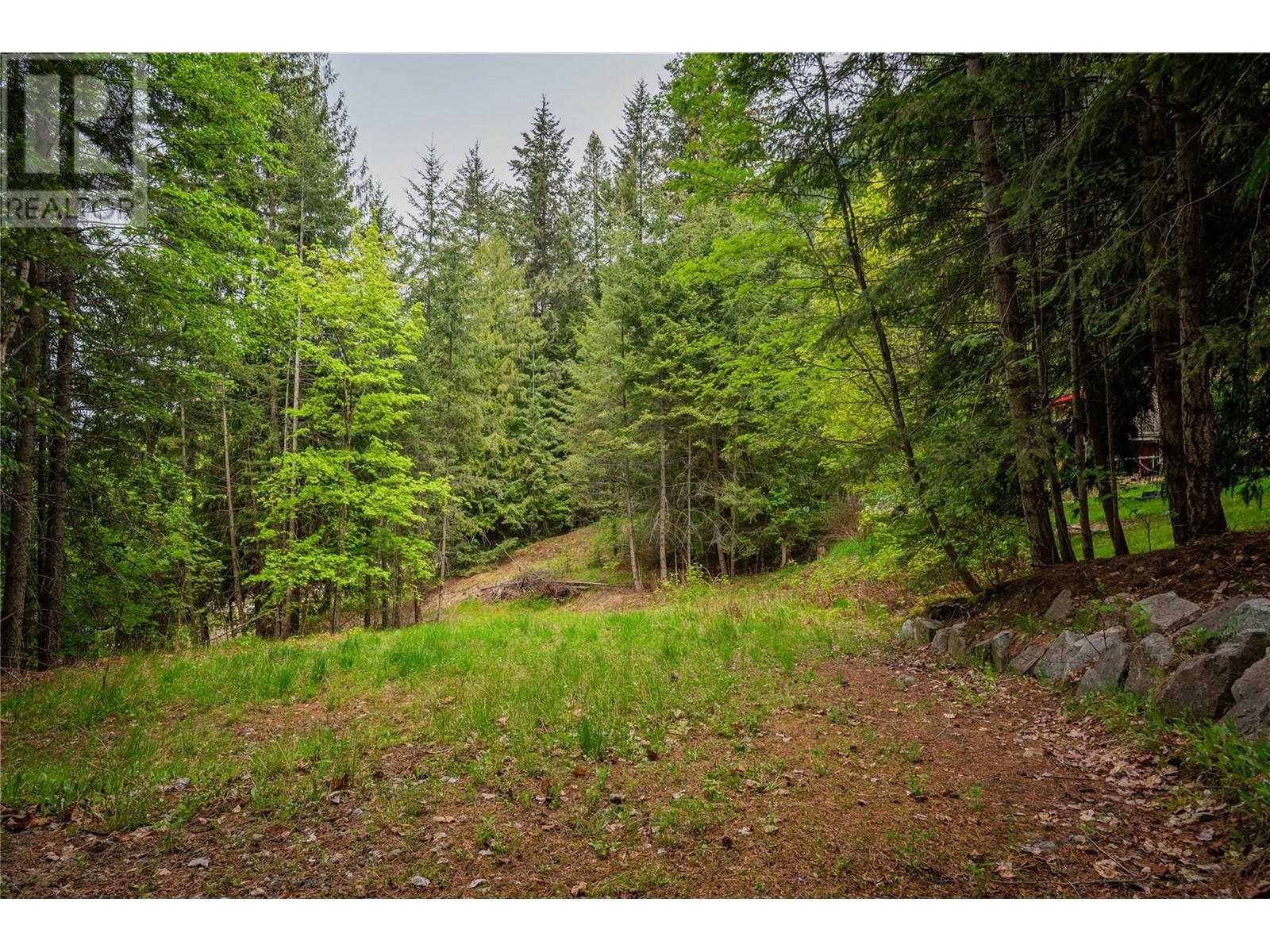 1102 31a Highway, New Denver, British Columbia  V0G 1S0 - Photo 19 - 10347416