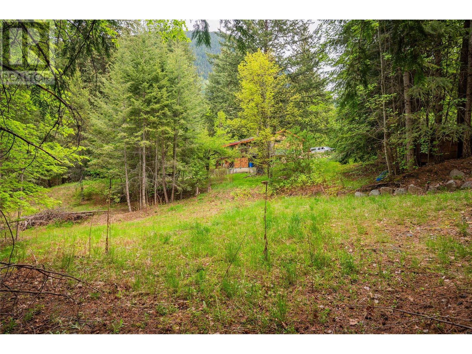 1102 31a Highway, New Denver, British Columbia  V0G 1S0 - Photo 21 - 10347416