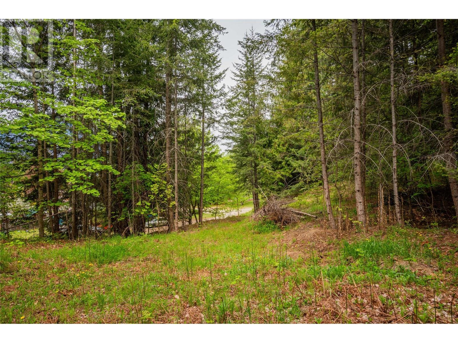 1102 31a Highway, New Denver, British Columbia  V0G 1S0 - Photo 22 - 10347416