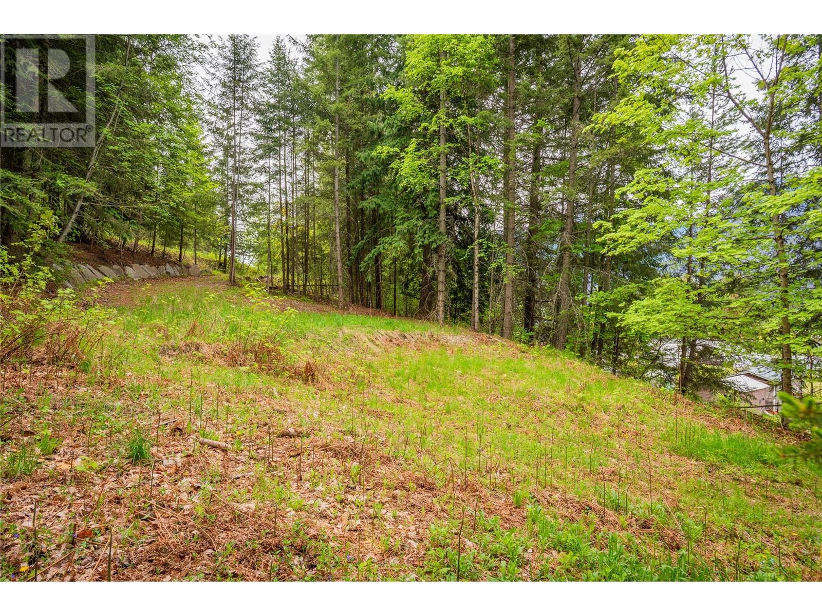 1102 31a Highway, New Denver, British Columbia  V0G 1S0 - Photo 23 - 10347416