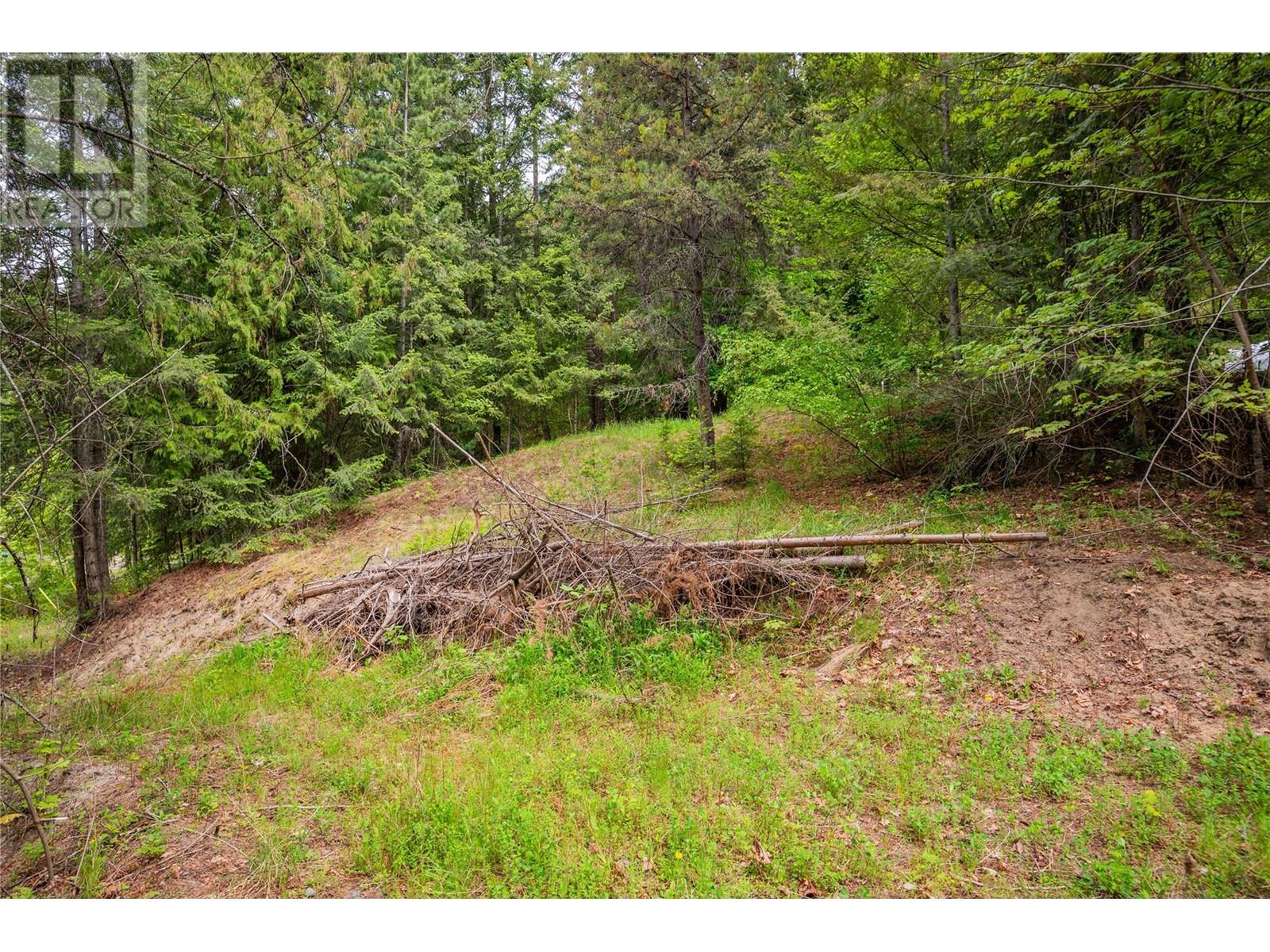 1102 31a Highway, New Denver, British Columbia  V0G 1S0 - Photo 24 - 10347416