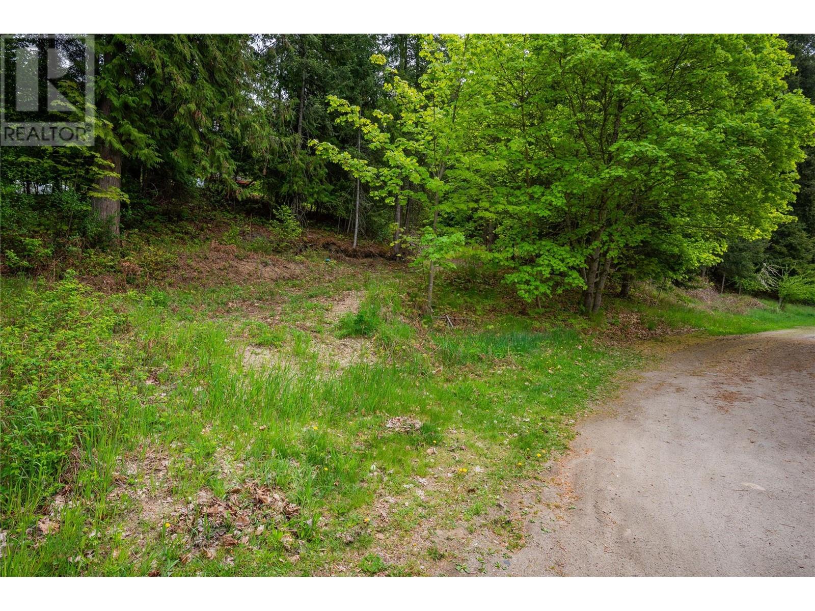 1102 31a Highway, New Denver, British Columbia  V0G 1S0 - Photo 27 - 10347416