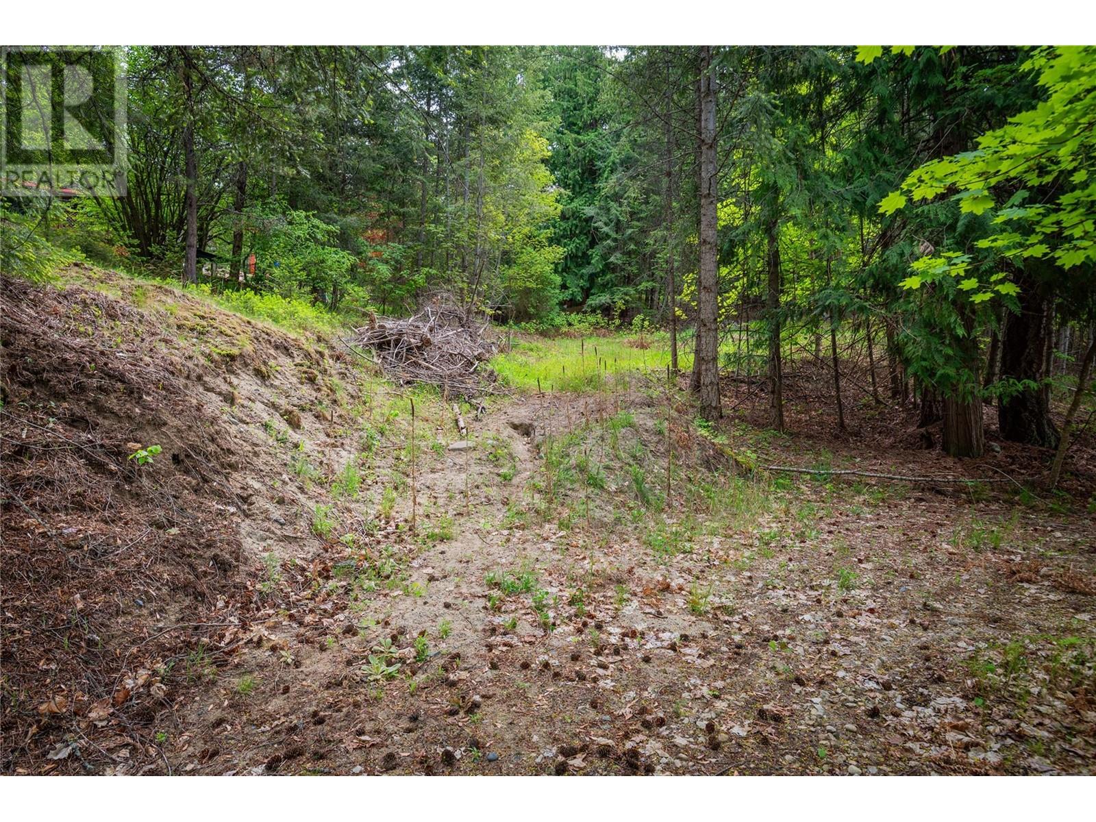 1102 31a Highway, New Denver, British Columbia  V0G 1S0 - Photo 28 - 10347416