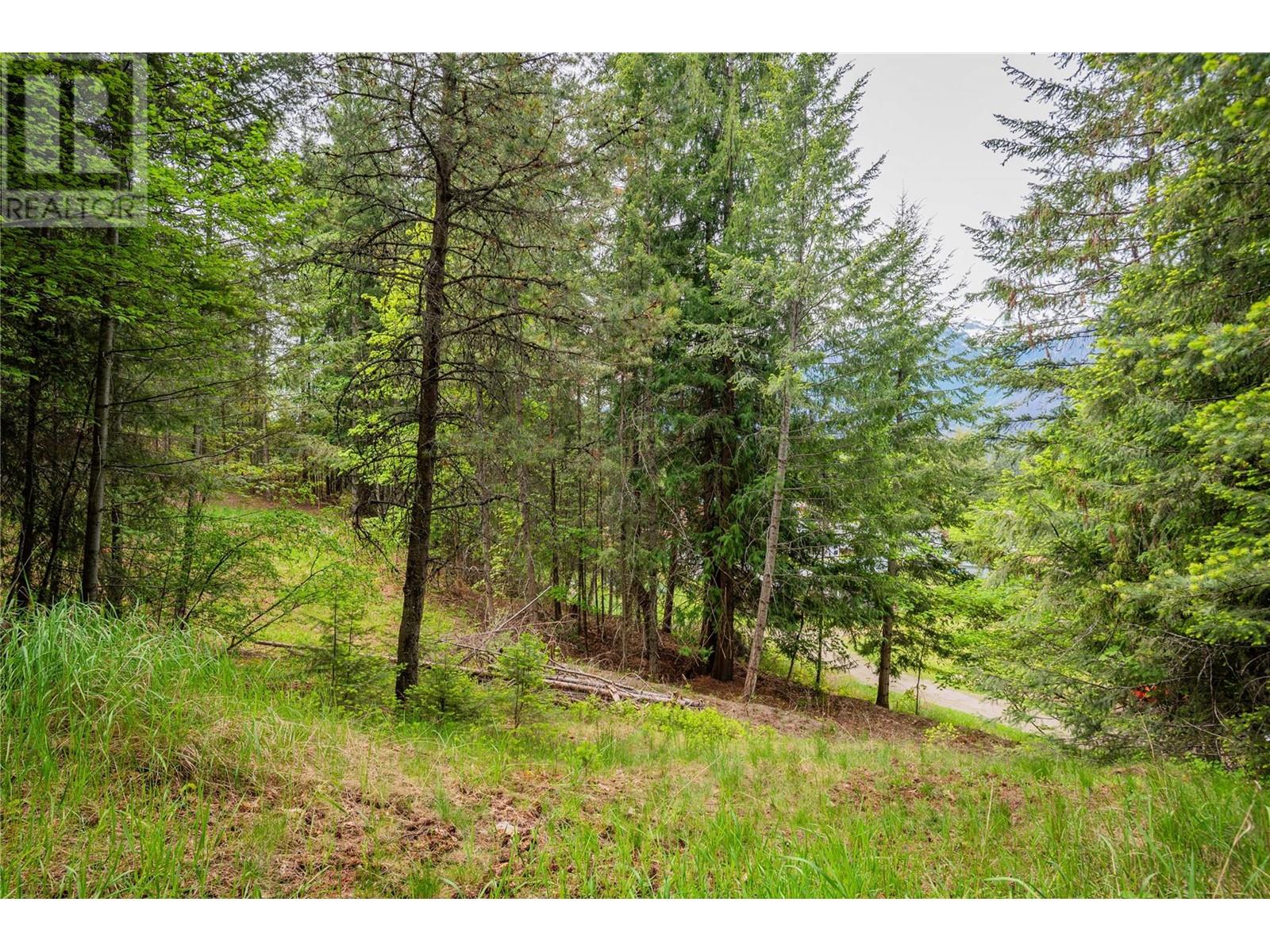 1102 31a Highway, New Denver, British Columbia  V0G 1S0 - Photo 30 - 10347416