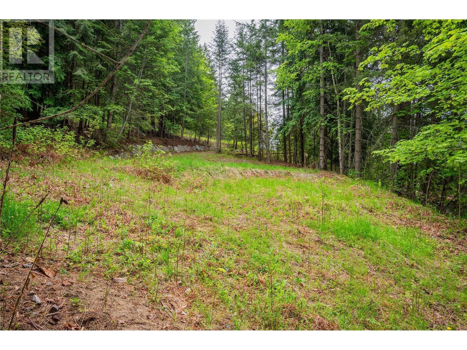 1102 31a Highway, New Denver, British Columbia  V0G 1S0 - Photo 31 - 10347416
