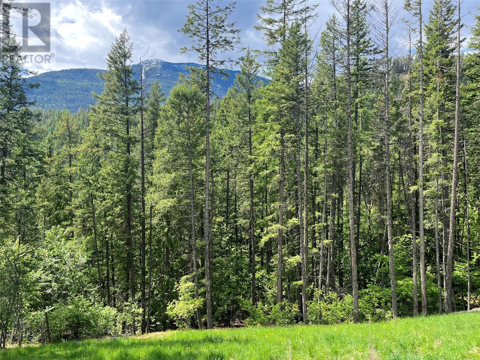 Lot 13 Pine Ridge Road, Kaslo, British Columbia  V0G 1M0 - Photo 10 - 10347722