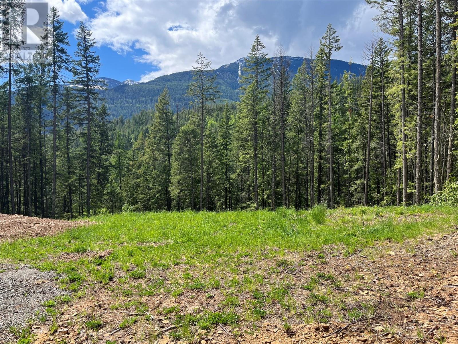 Lot 13 Pine Ridge Road, Kaslo, British Columbia  V0G 1M0 - Photo 5 - 10347722