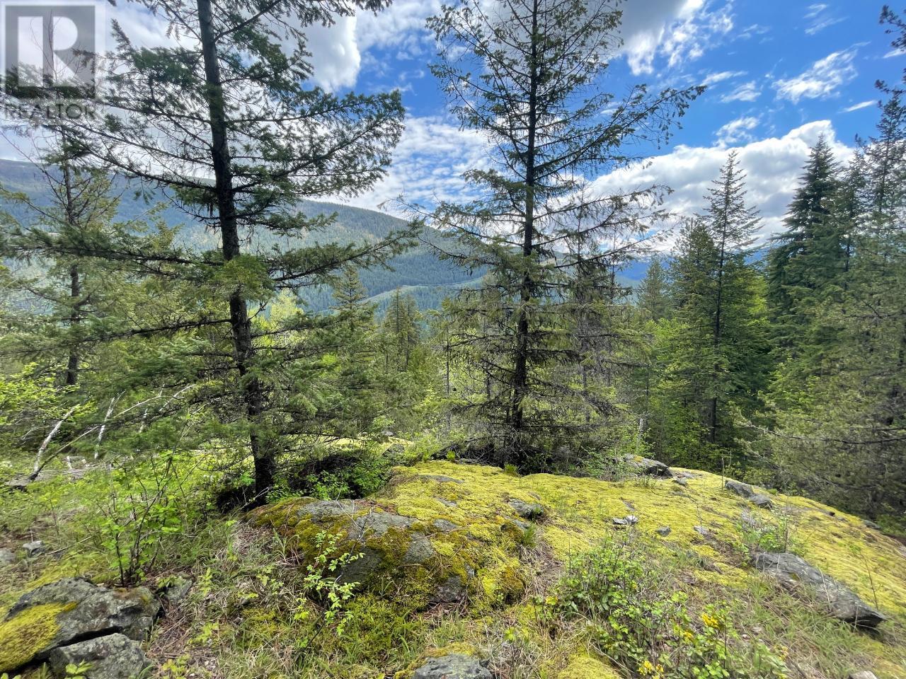 Lot 1 Langill Road, Krestova, British Columbia  V0G 1H0 - Photo 1 - 10347982
