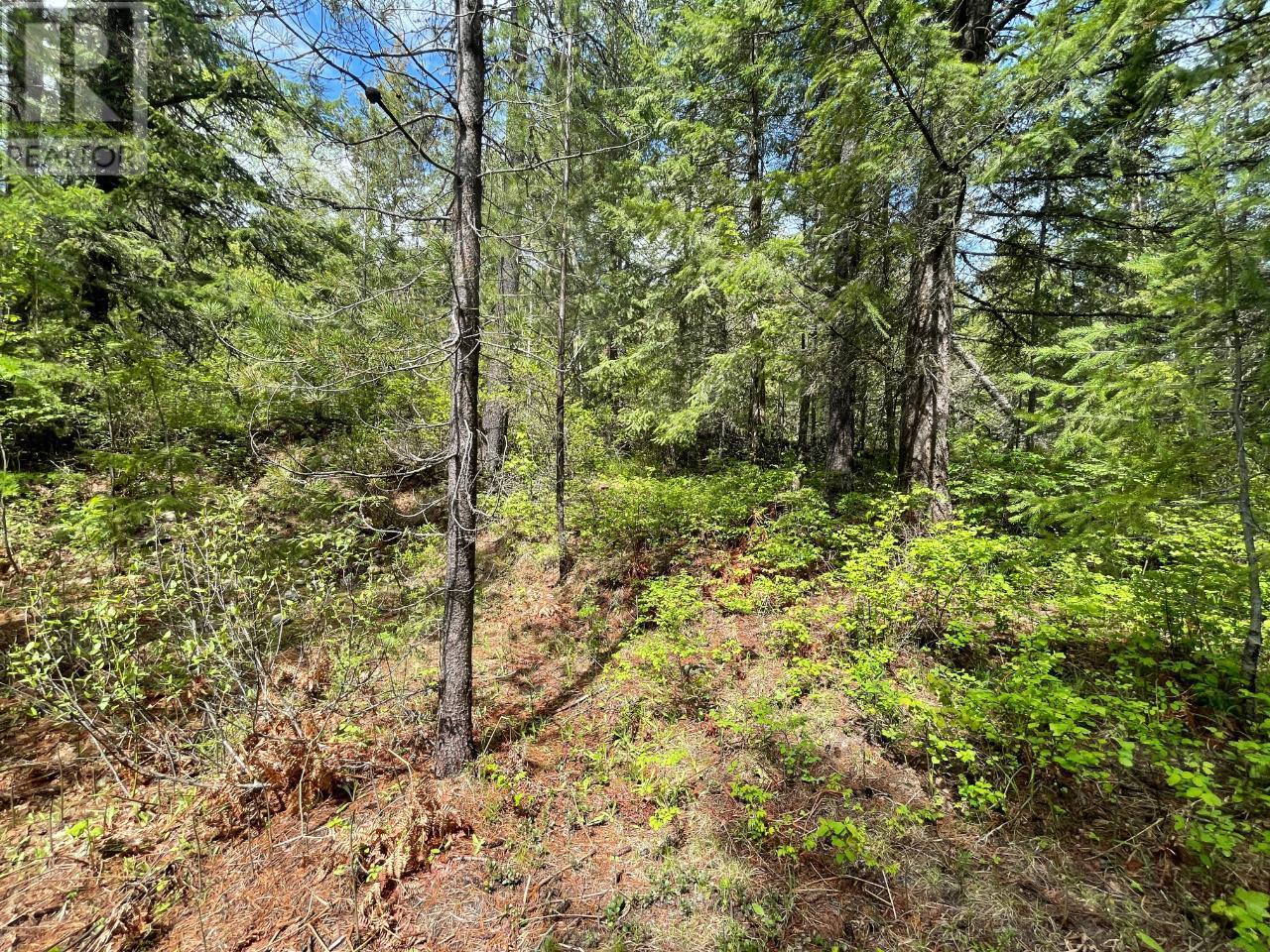 Lot 1 Langill Road, Krestova, British Columbia  V0G 1H0 - Photo 10 - 10347982