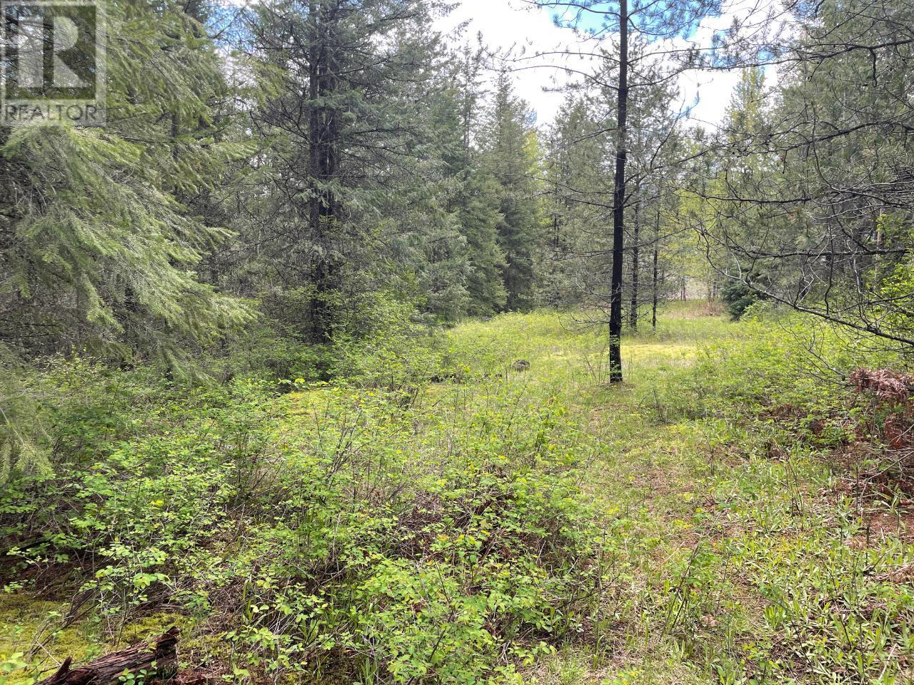 Lot 1 Langill Road, Krestova, British Columbia  V0G 1H0 - Photo 11 - 10347982