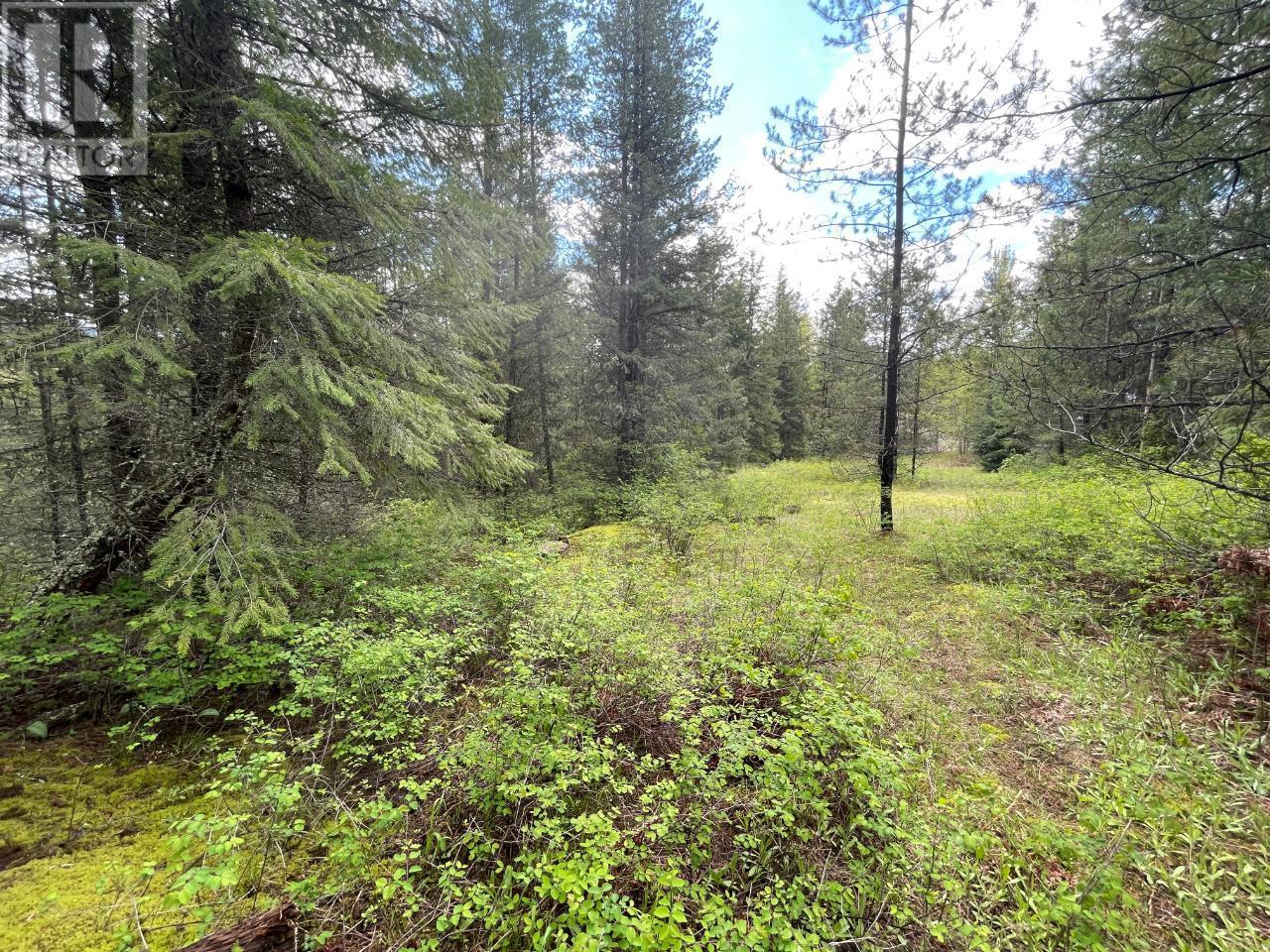 Lot 1 Langill Road, Krestova, British Columbia  V0G 1H0 - Photo 12 - 10347982