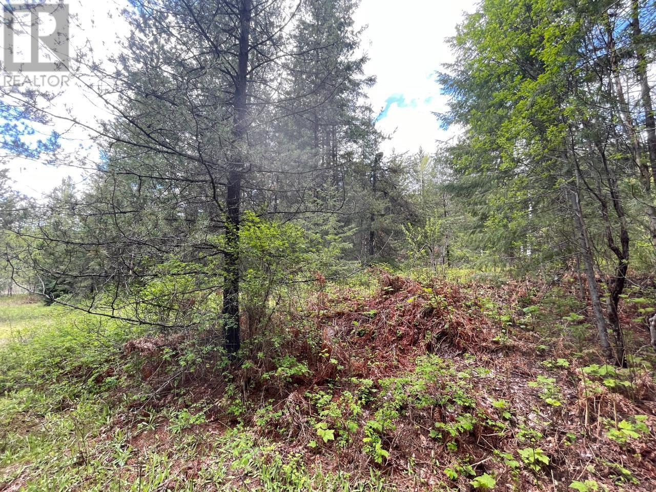 Lot 1 Langill Road, Krestova, British Columbia  V0G 1H0 - Photo 13 - 10347982