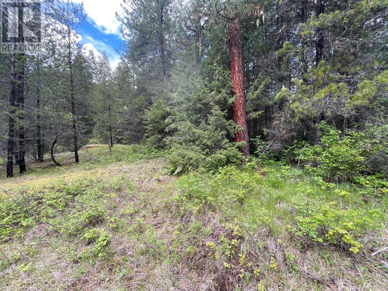 Lot 1 Langill Road, Krestova, British Columbia  V0G 1H0 - Photo 14 - 10347982