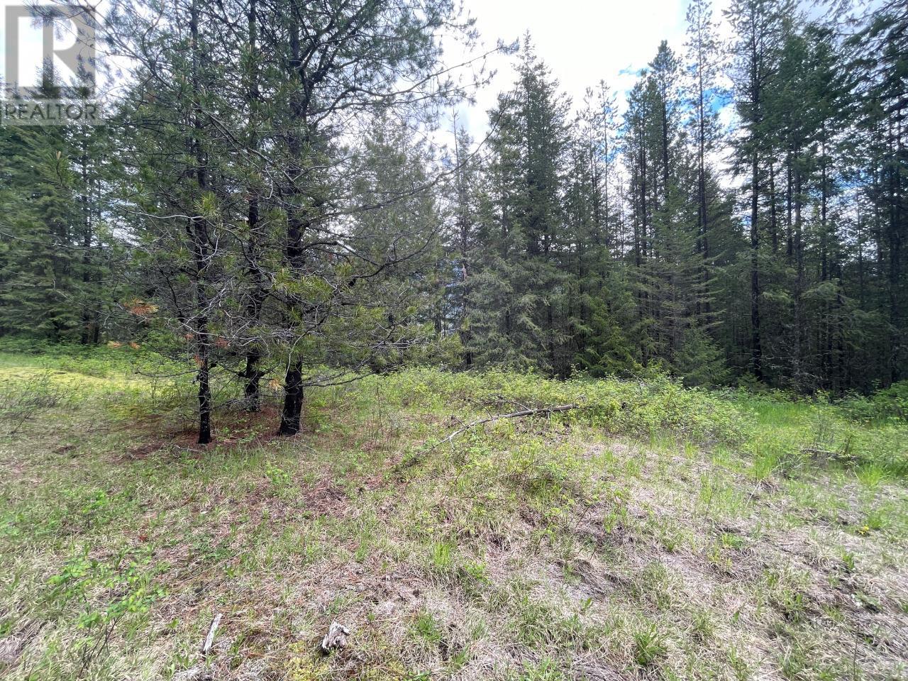 Lot 1 Langill Road, Krestova, British Columbia  V0G 1H0 - Photo 15 - 10347982