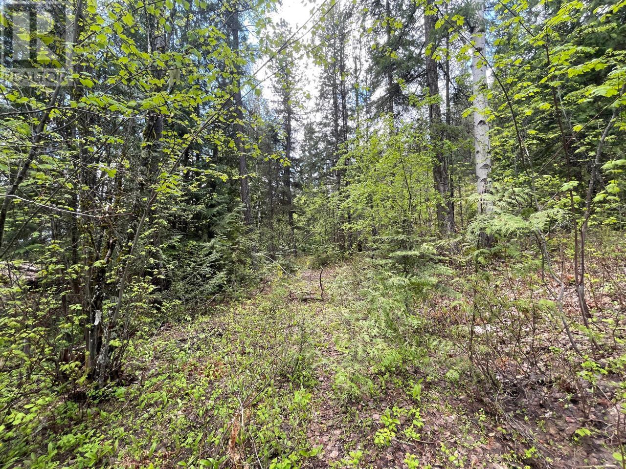 Lot 1 Langill Road, Krestova, British Columbia  V0G 1H0 - Photo 16 - 10347982