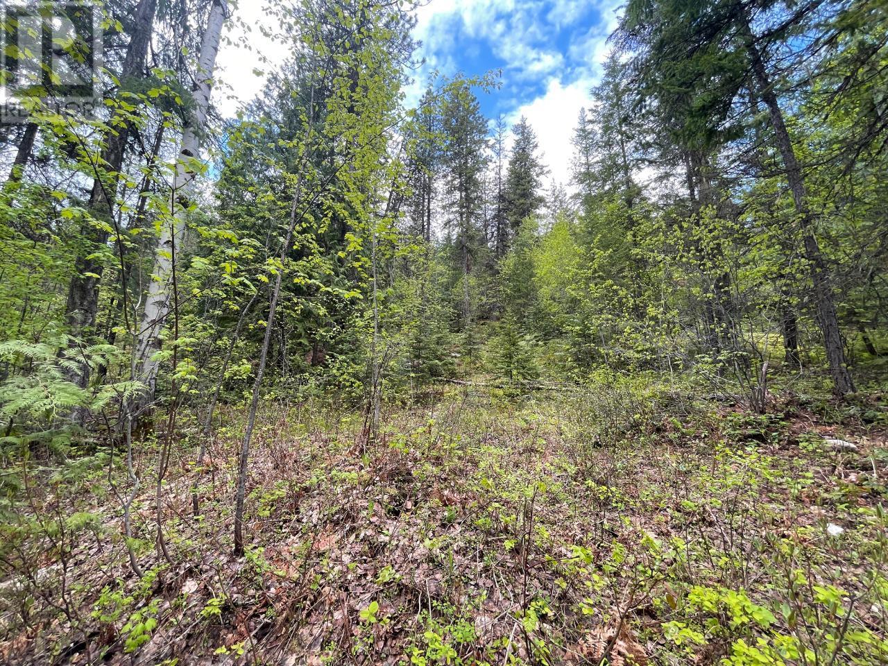 Lot 1 Langill Road, Krestova, British Columbia  V0G 1H0 - Photo 17 - 10347982