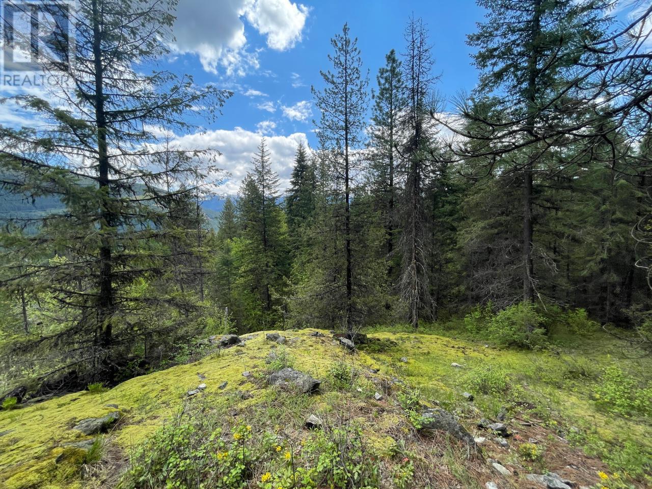 Lot 1 Langill Road, Krestova, British Columbia  V0G 1H0 - Photo 18 - 10347982