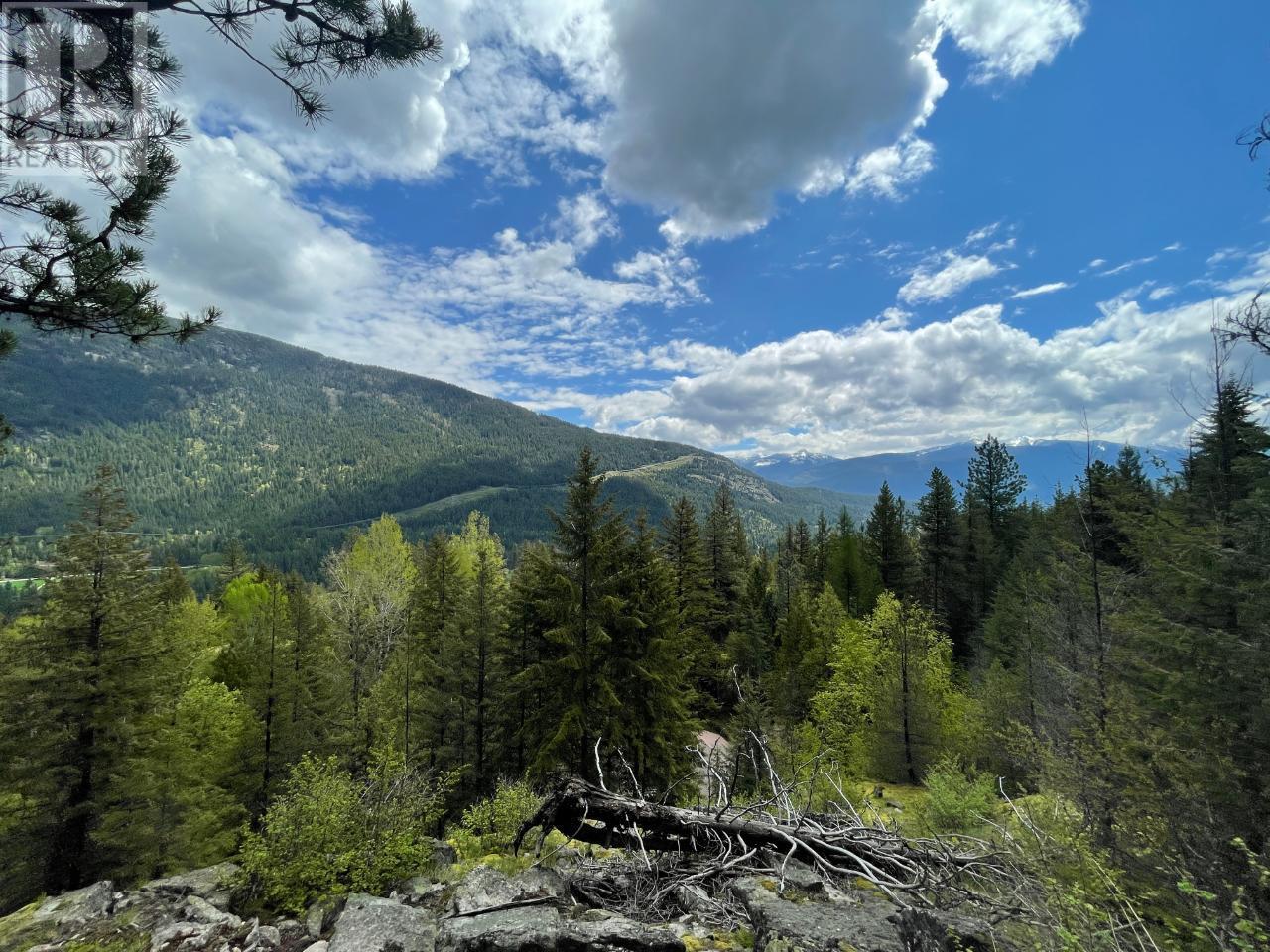 Lot 1 Langill Road, Krestova, British Columbia  V0G 1H0 - Photo 2 - 10347982