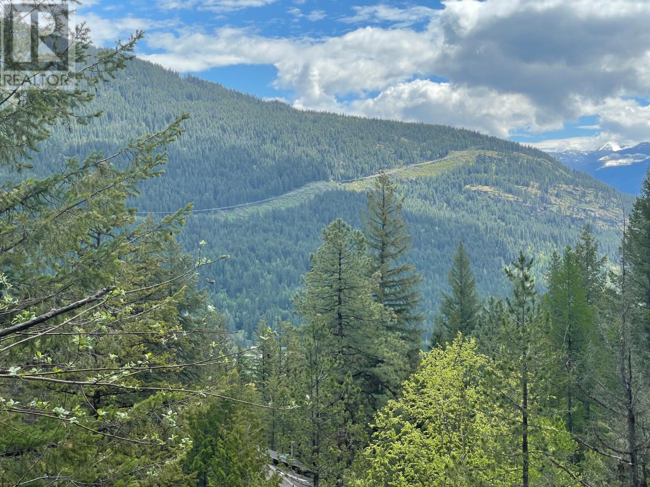 Lot 1 Langill Road, Krestova, British Columbia  V0G 1H0 - Photo 4 - 10347982