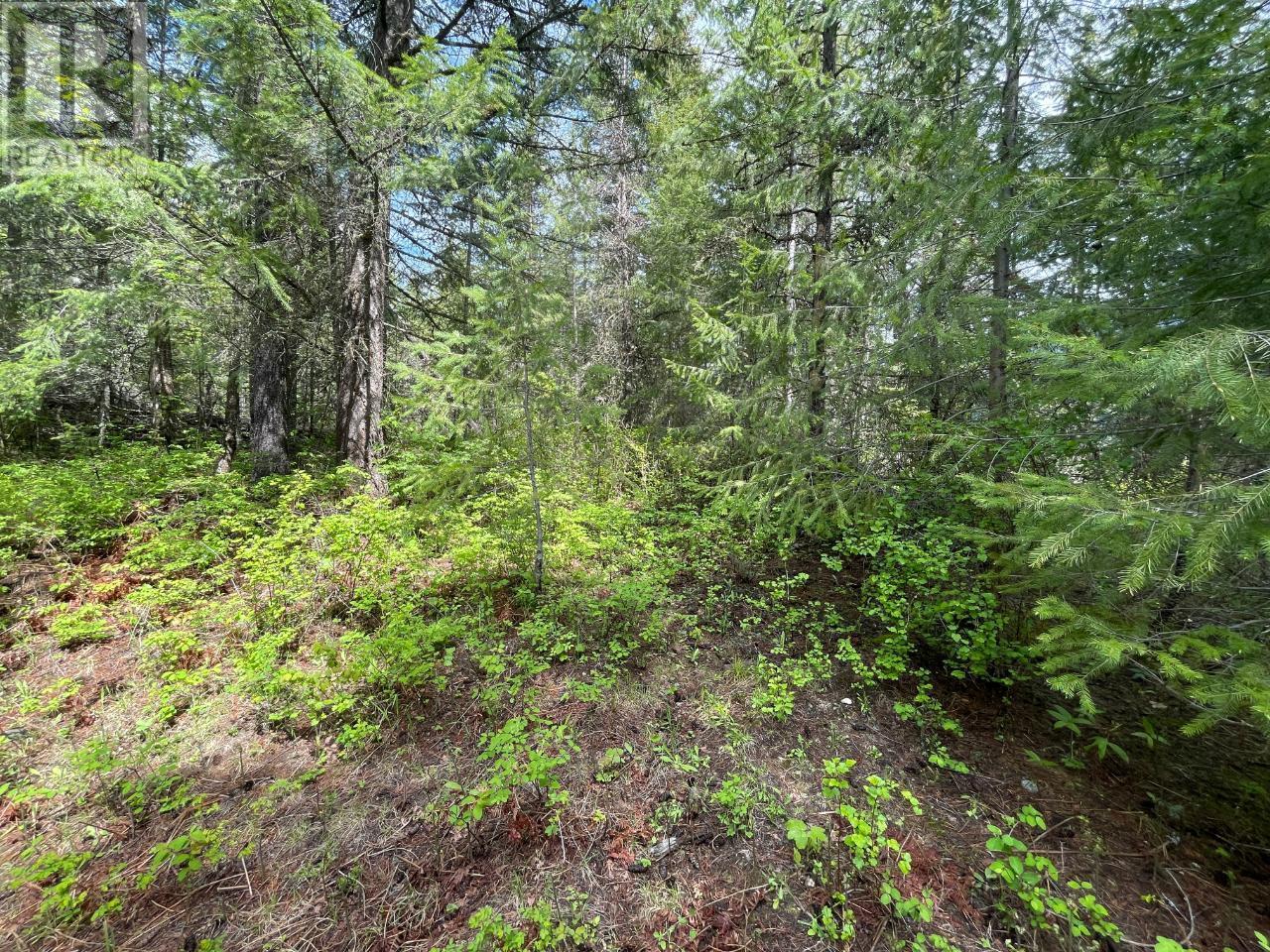 Lot 1 Langill Road, Krestova, British Columbia  V0G 1H0 - Photo 5 - 10347982