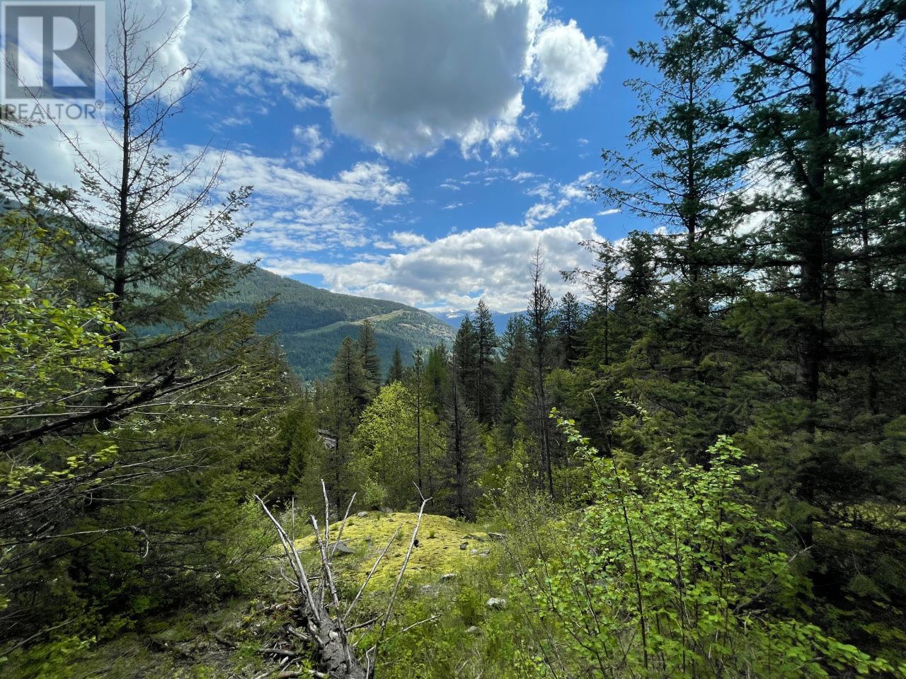 Lot 1 Langill Road, Krestova, British Columbia  V0G 1H0 - Photo 7 - 10347982