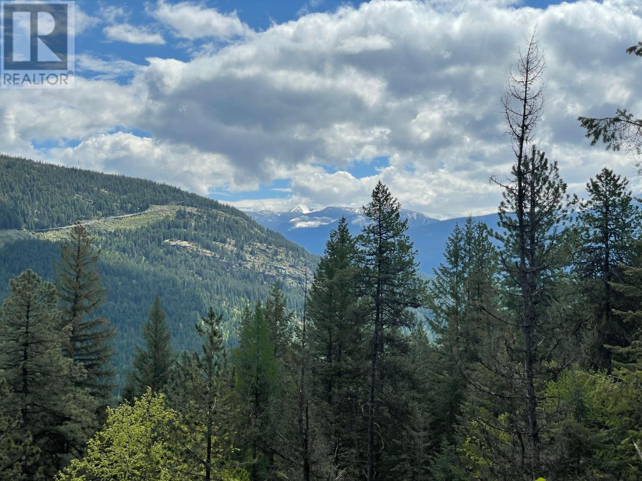 Lot 1 Langill Road, Krestova, British Columbia  V0G 1H0 - Photo 8 - 10347982